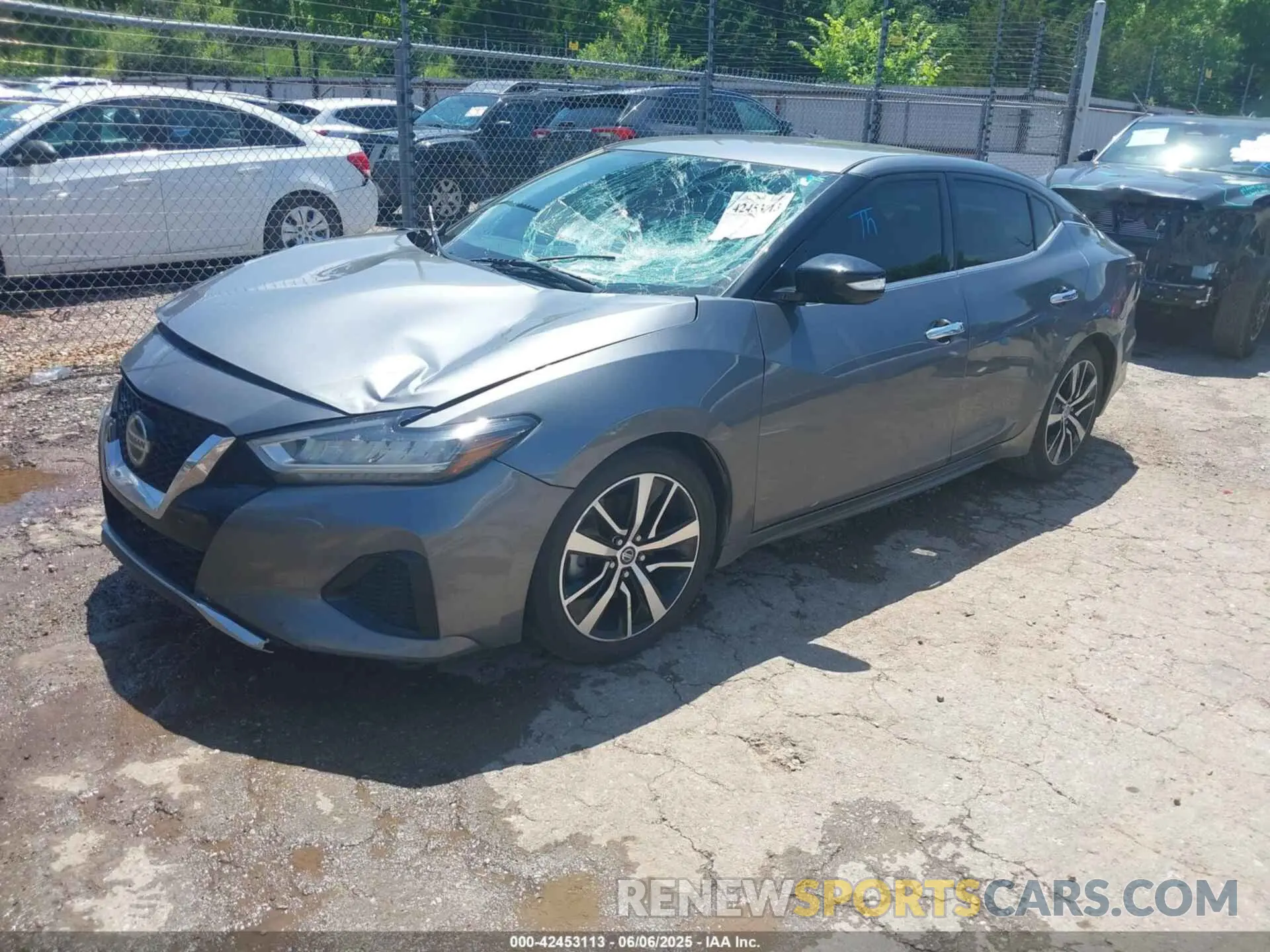 2 Photograph of a damaged car 1N4AA6CVXMC514377 NISSAN MAXIMA 2021