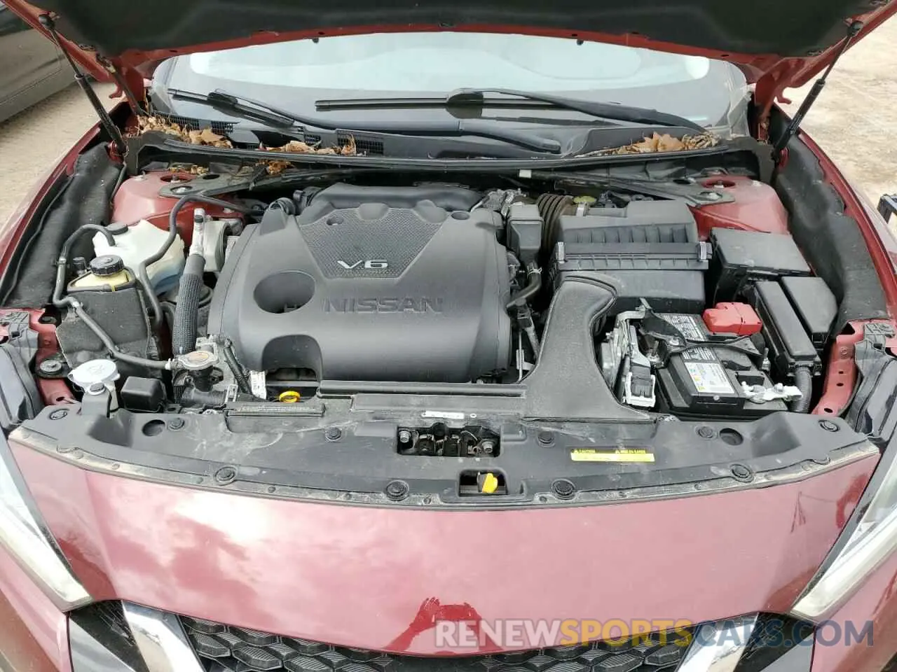 11 Photograph of a damaged car 1N4AA6DV8MC512593 NISSAN MAXIMA 2021