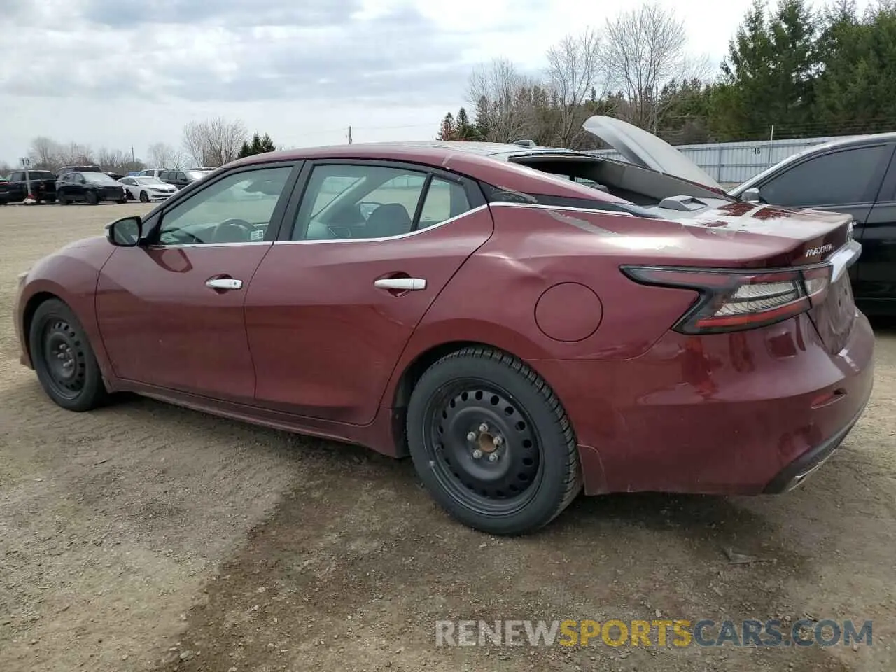 2 Photograph of a damaged car 1N4AA6DV8MC512593 NISSAN MAXIMA 2021