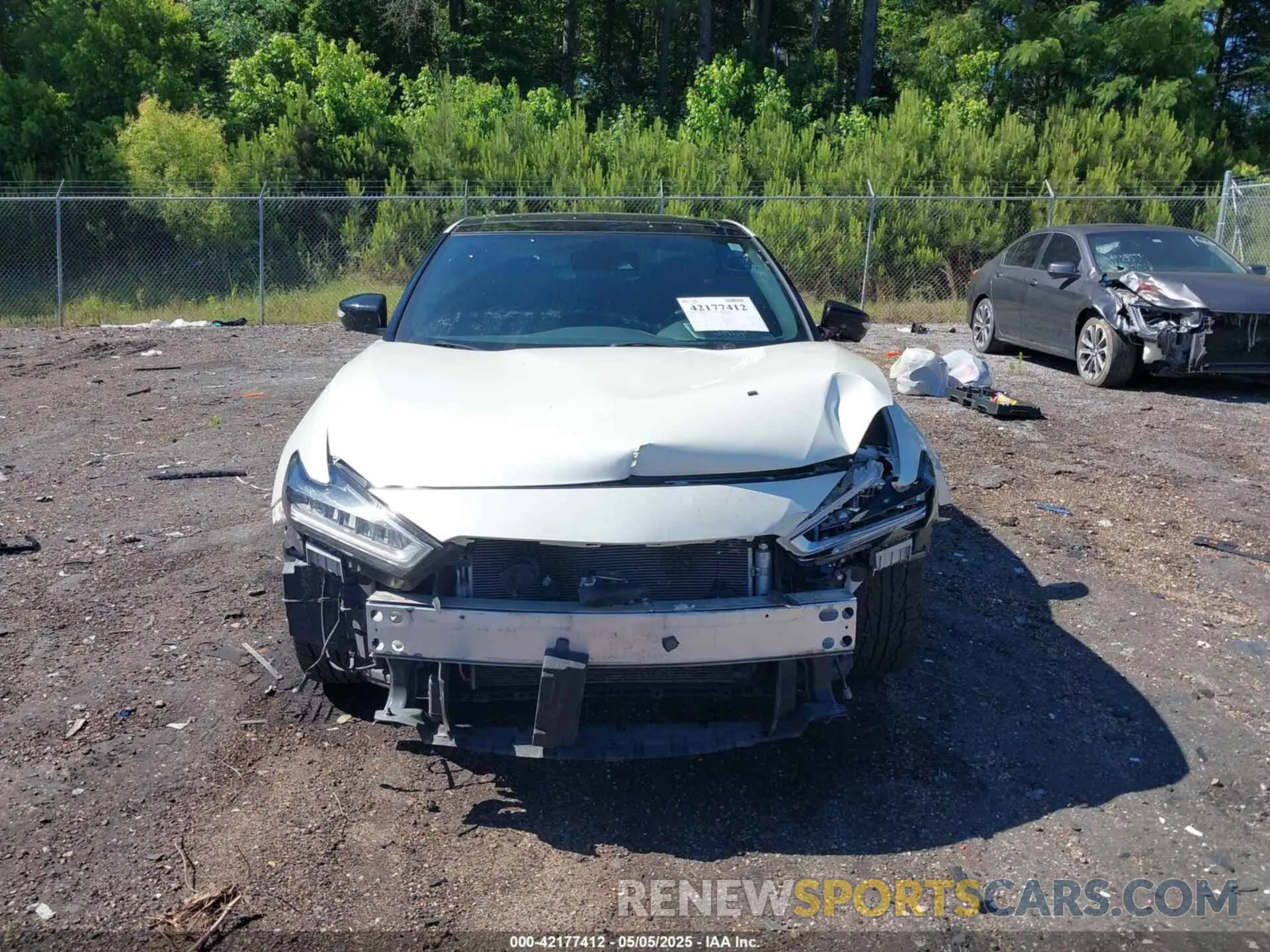 13 Photograph of a damaged car 1N4AA6EV0MC511677 NISSAN MAXIMA 2021