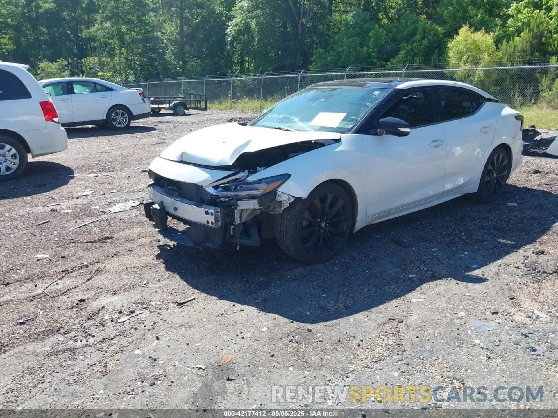 2 Photograph of a damaged car 1N4AA6EV0MC511677 NISSAN MAXIMA 2021