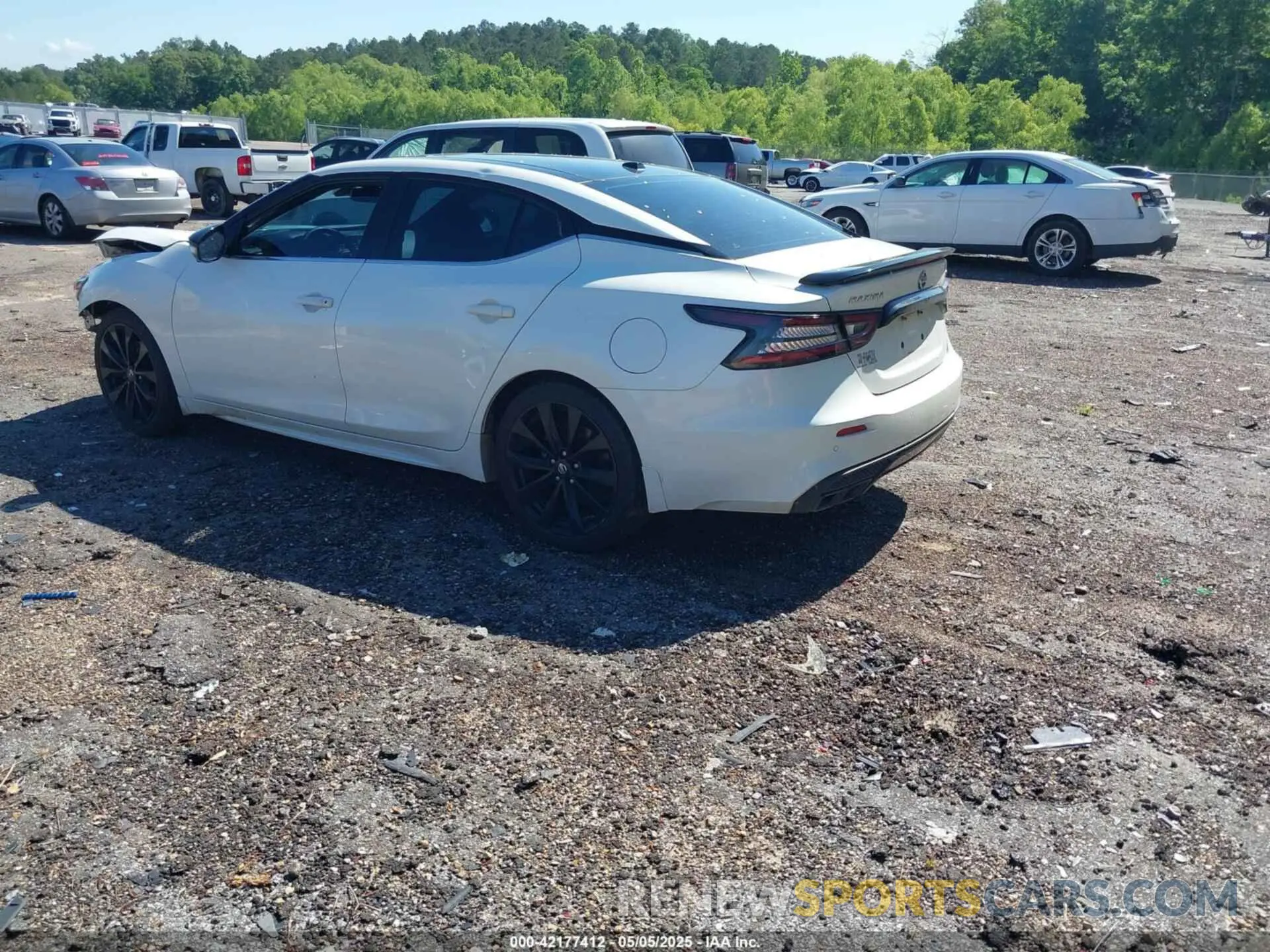 3 Photograph of a damaged car 1N4AA6EV0MC511677 NISSAN MAXIMA 2021