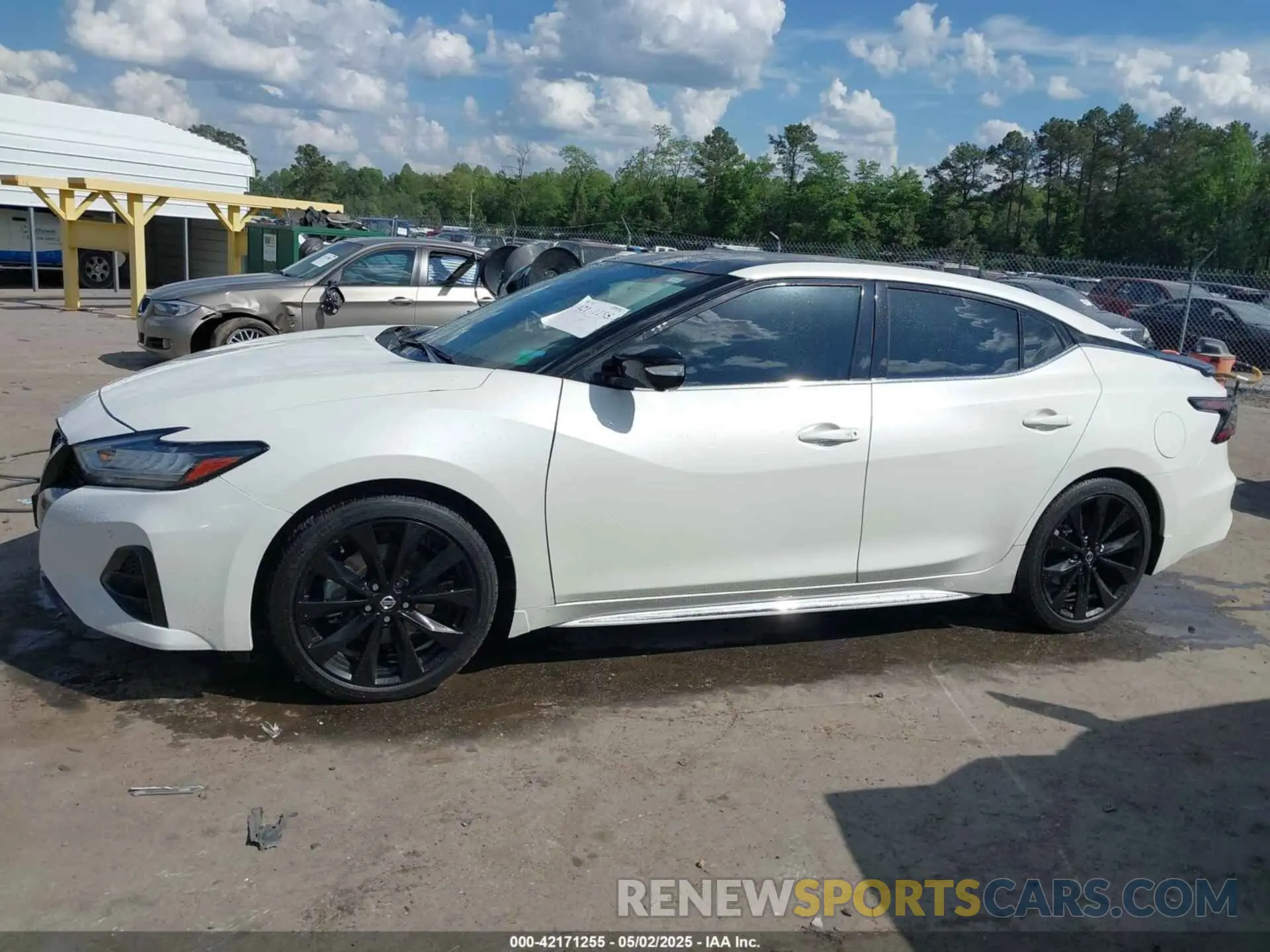 14 Photograph of a damaged car 1N4AA6EV5MC504966 NISSAN MAXIMA 2021