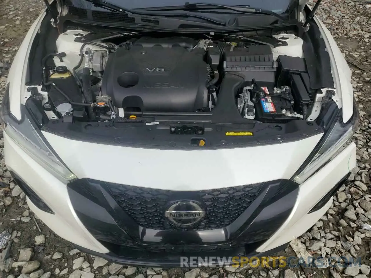 11 Photograph of a damaged car 1N4AA6EV8MC516089 NISSAN MAXIMA 2021