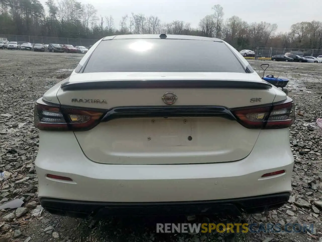 6 Photograph of a damaged car 1N4AA6EV8MC516089 NISSAN MAXIMA 2021