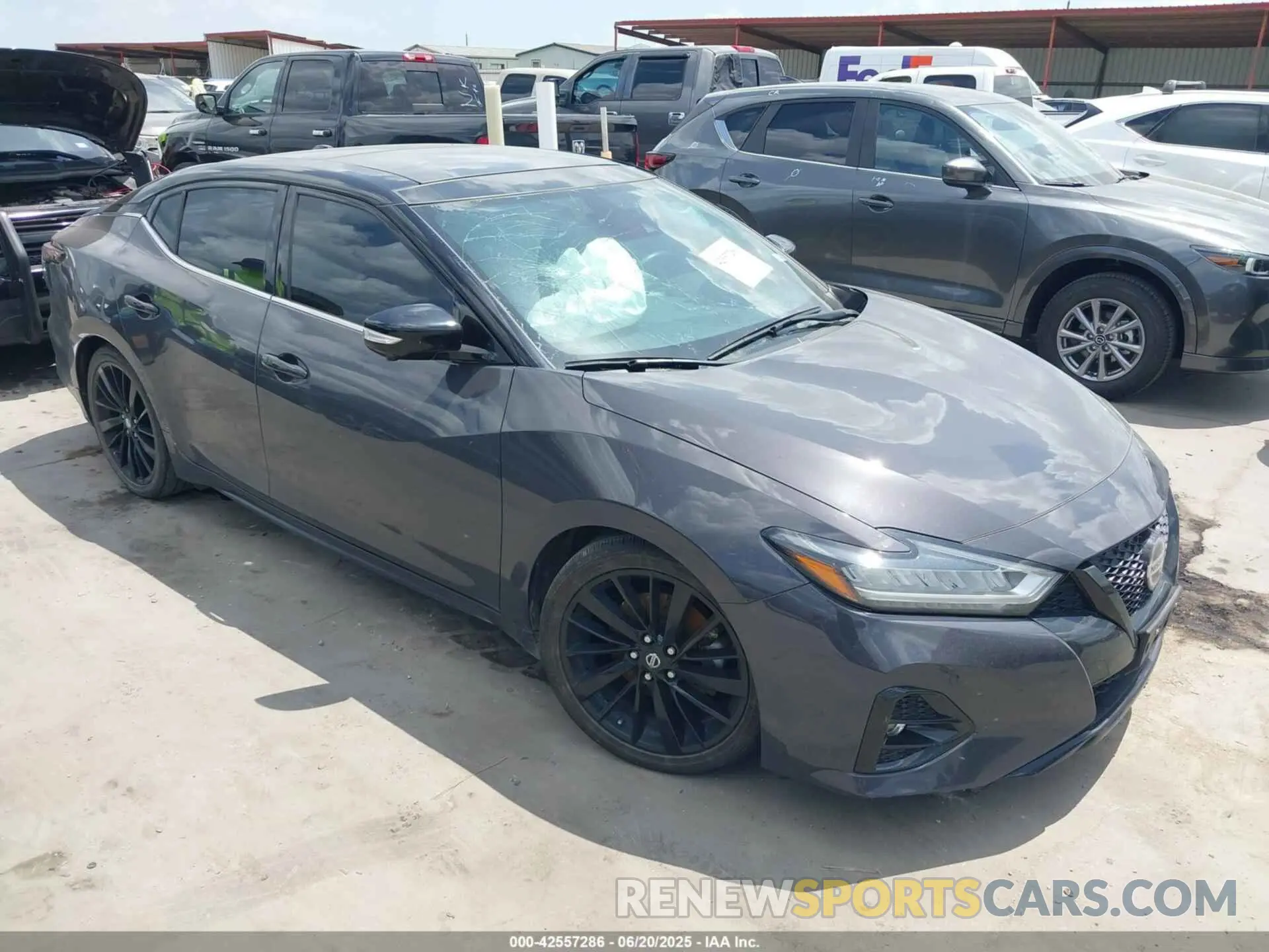 1 Photograph of a damaged car 1N4AA6FV0MC507840 NISSAN MAXIMA 2021