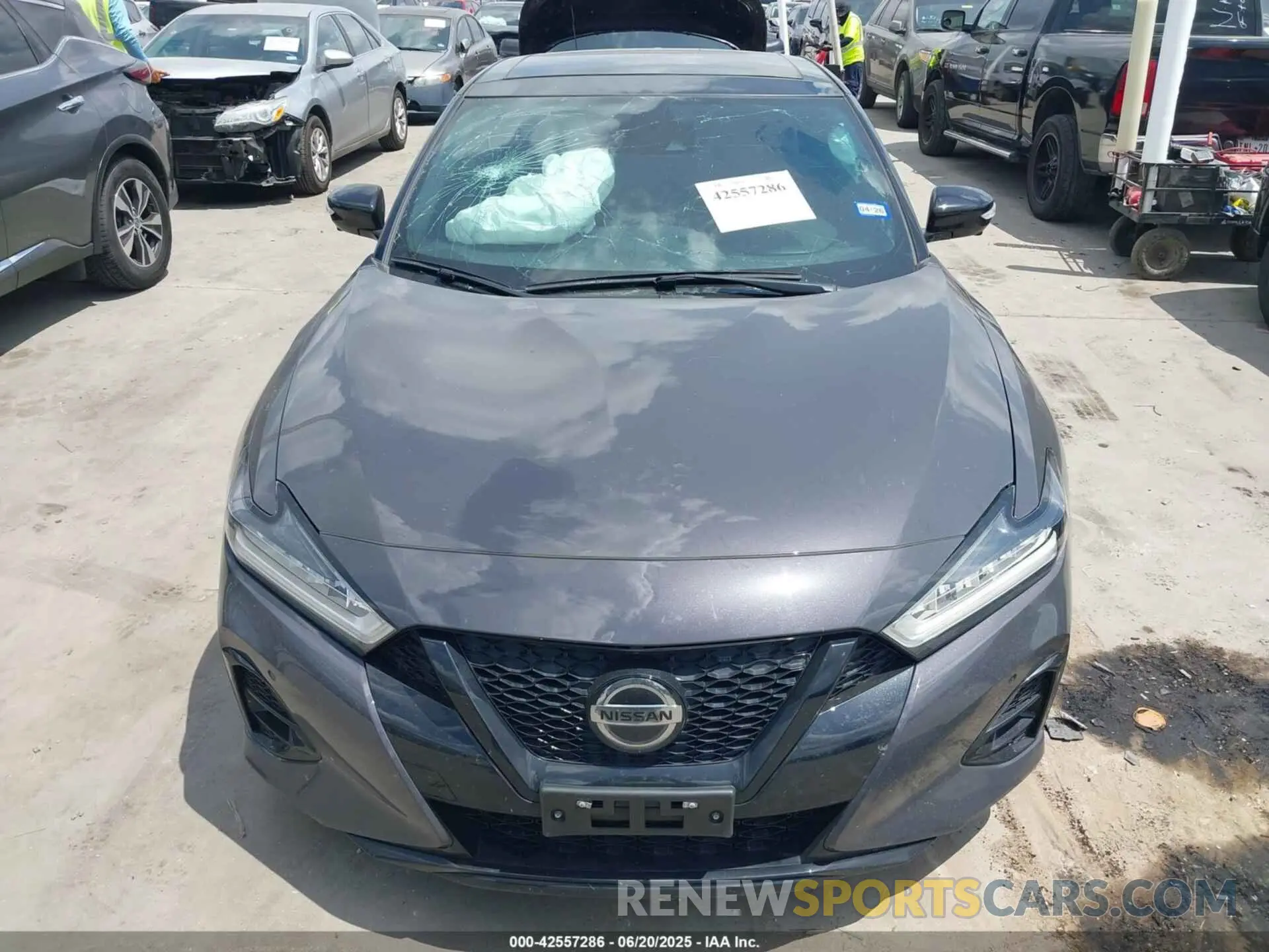 12 Photograph of a damaged car 1N4AA6FV0MC507840 NISSAN MAXIMA 2021