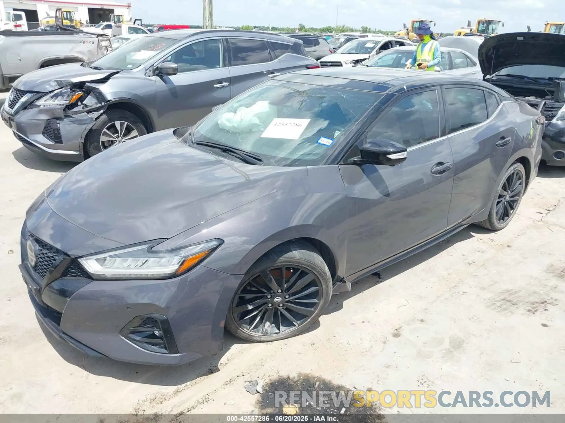 2 Photograph of a damaged car 1N4AA6FV0MC507840 NISSAN MAXIMA 2021
