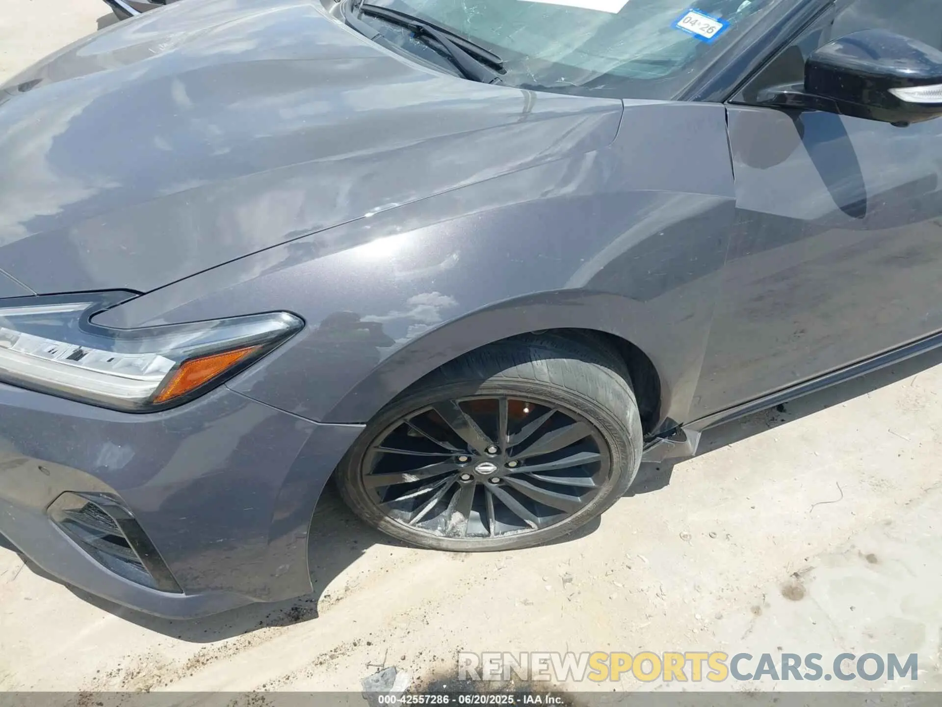 6 Photograph of a damaged car 1N4AA6FV0MC507840 NISSAN MAXIMA 2021