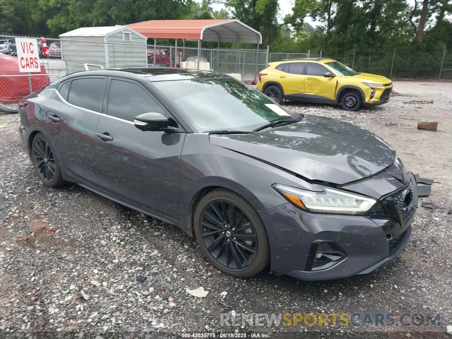 1 Photograph of a damaged car 1N4AA6FV1MC501139 NISSAN MAXIMA 2021