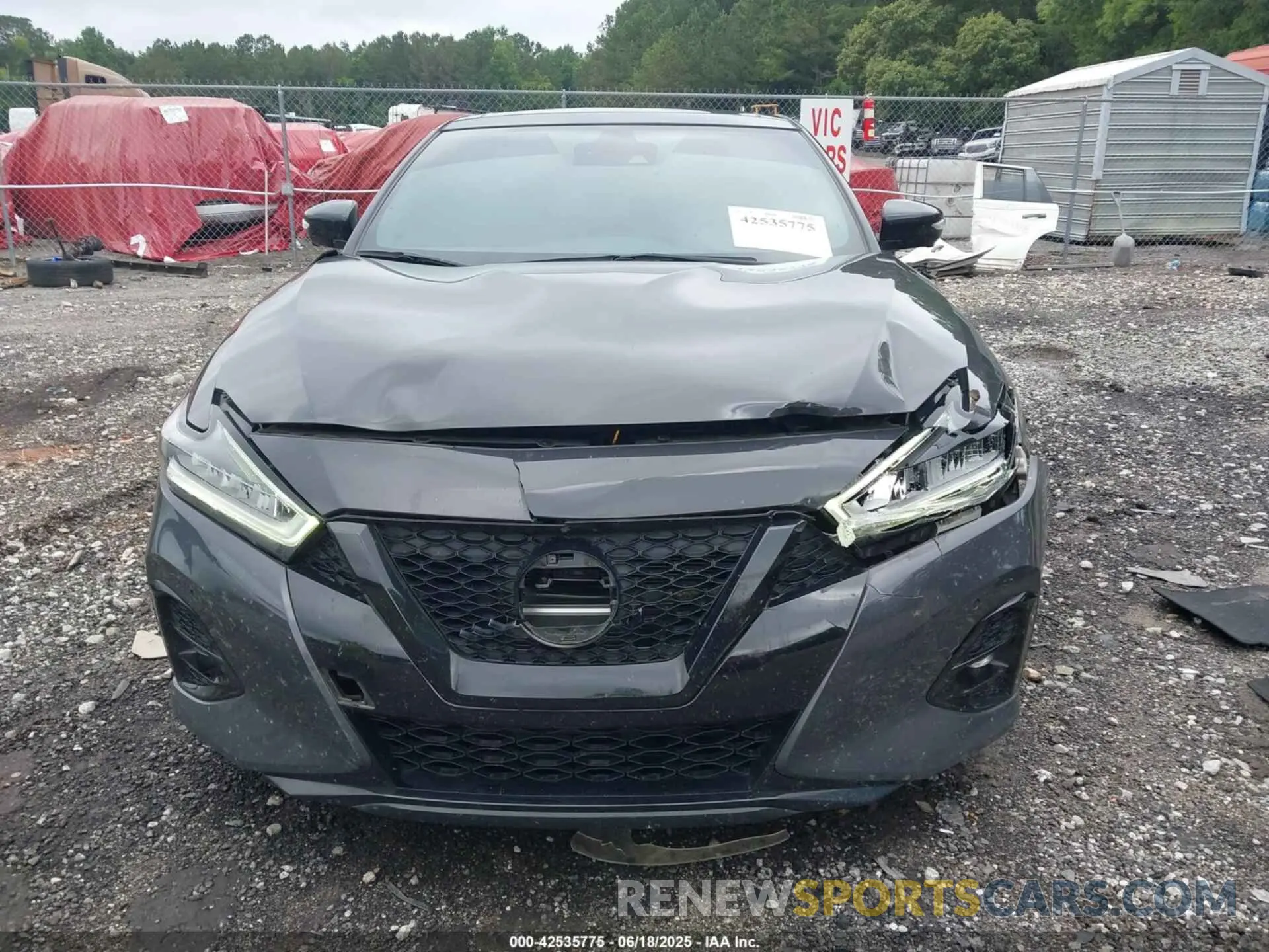 12 Photograph of a damaged car 1N4AA6FV1MC501139 NISSAN MAXIMA 2021