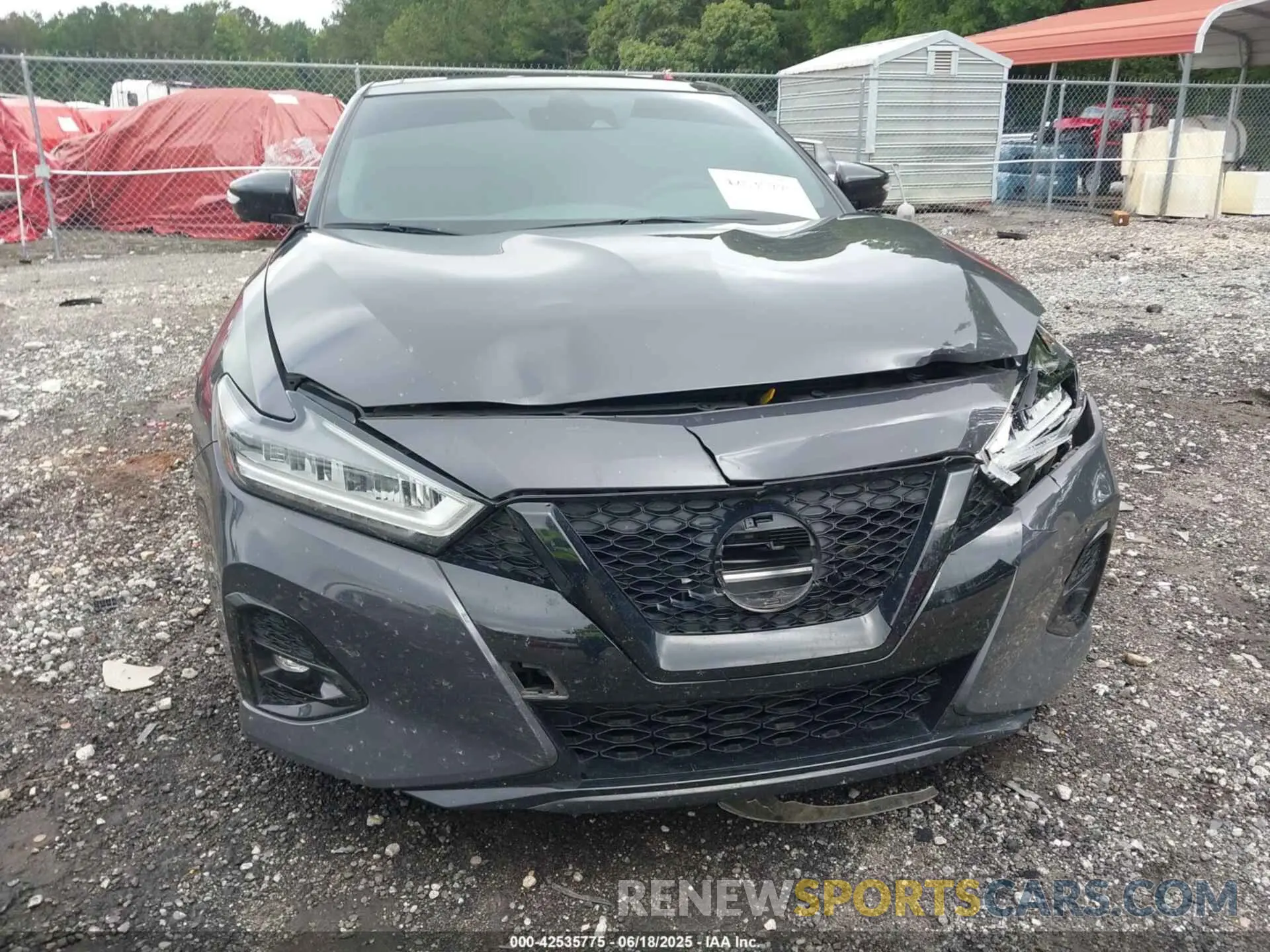 6 Photograph of a damaged car 1N4AA6FV1MC501139 NISSAN MAXIMA 2021