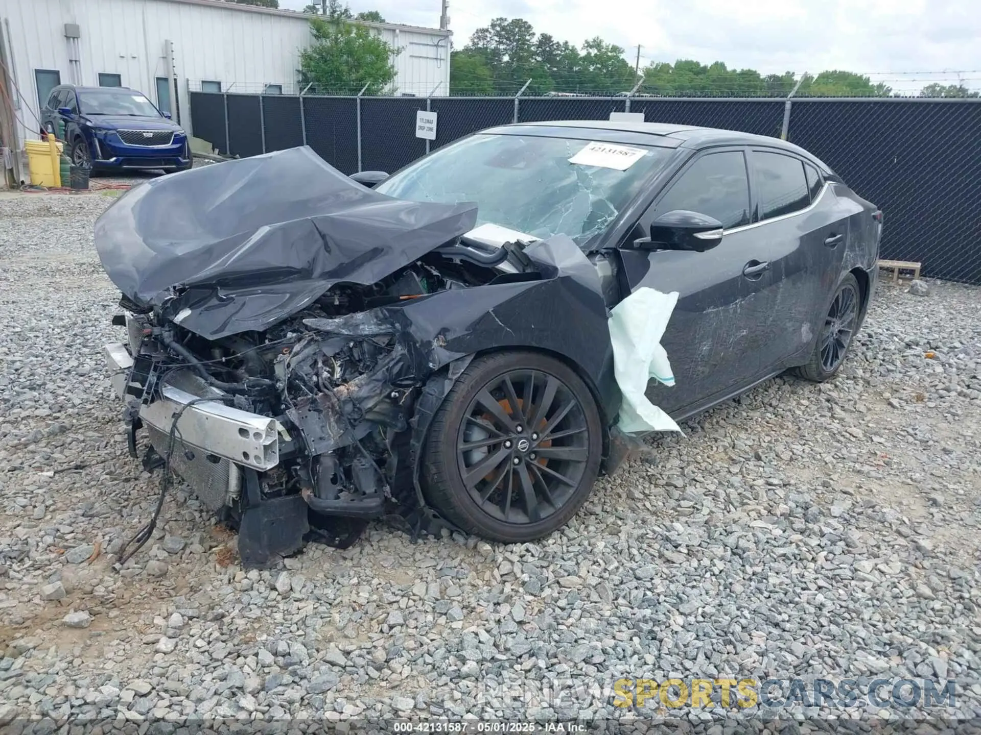 2 Photograph of a damaged car 1N4AA6FV1MC502937 NISSAN MAXIMA 2021