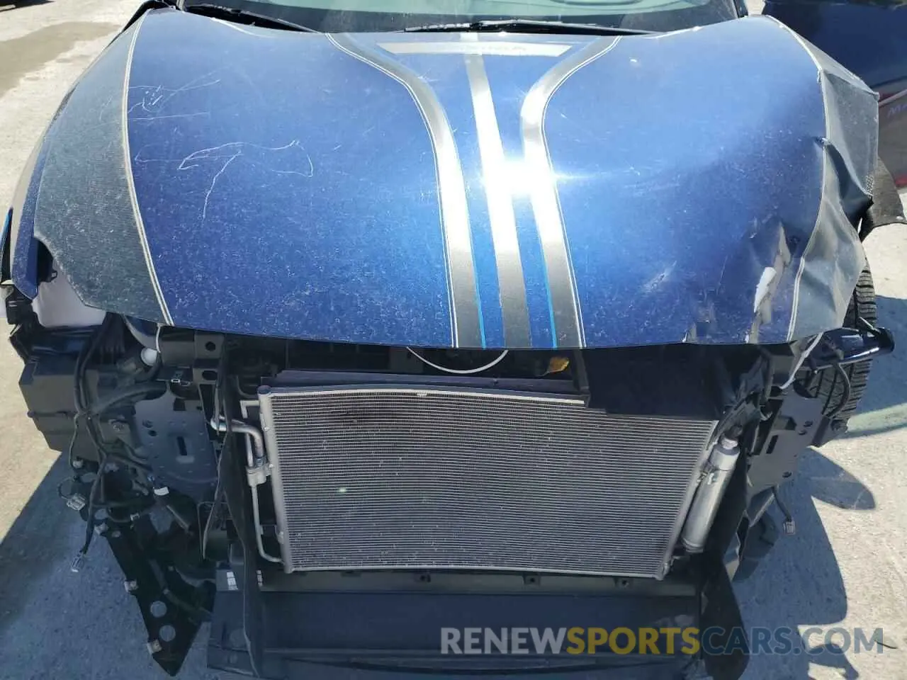 11 Photograph of a damaged car 1N4AA6FV2MC509668 NISSAN MAXIMA 2021