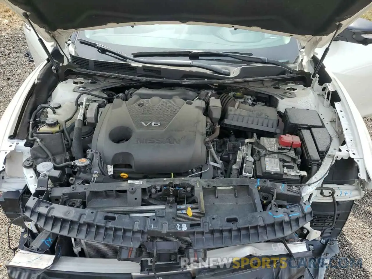 11 Photograph of a damaged car 1N4AA6FV2MC516393 NISSAN MAXIMA 2021