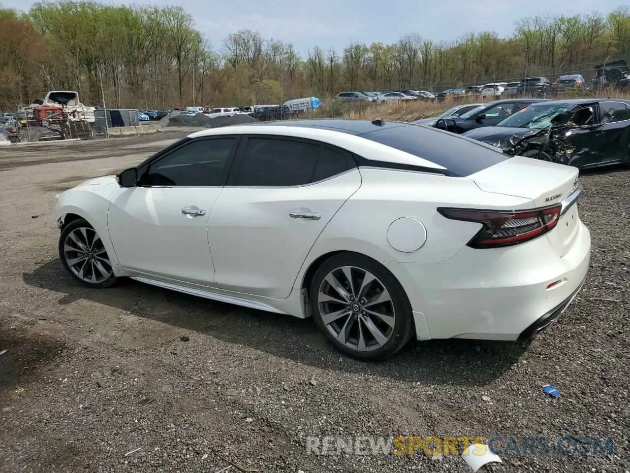 2 Photograph of a damaged car 1N4AA6FV2MC516393 NISSAN MAXIMA 2021