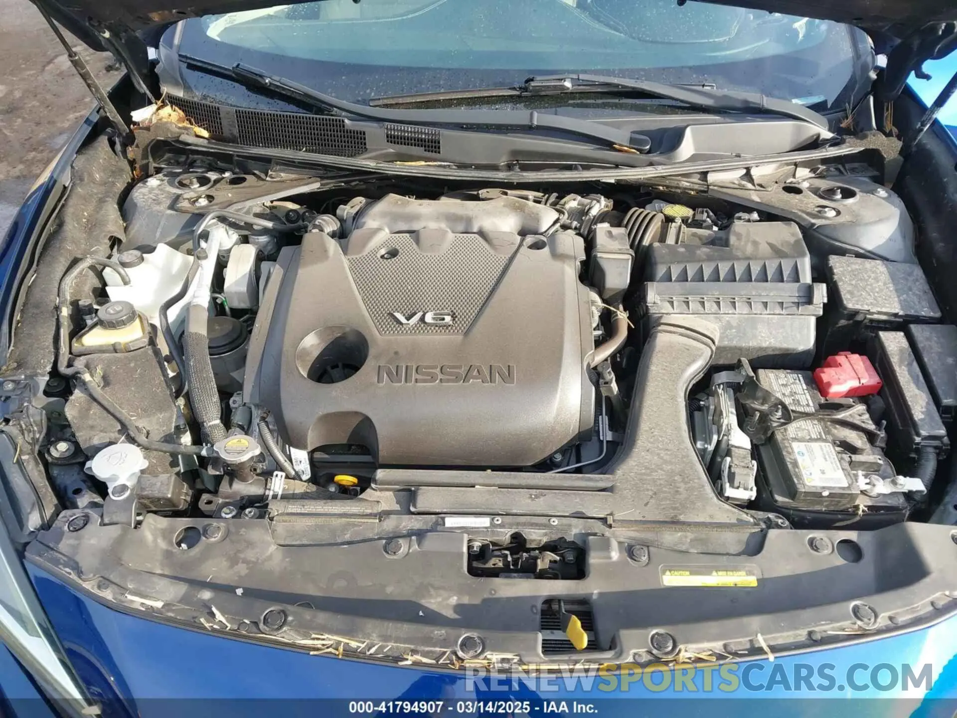 10 Photograph of a damaged car 1N4AA6FV3MC509470 NISSAN MAXIMA 2021