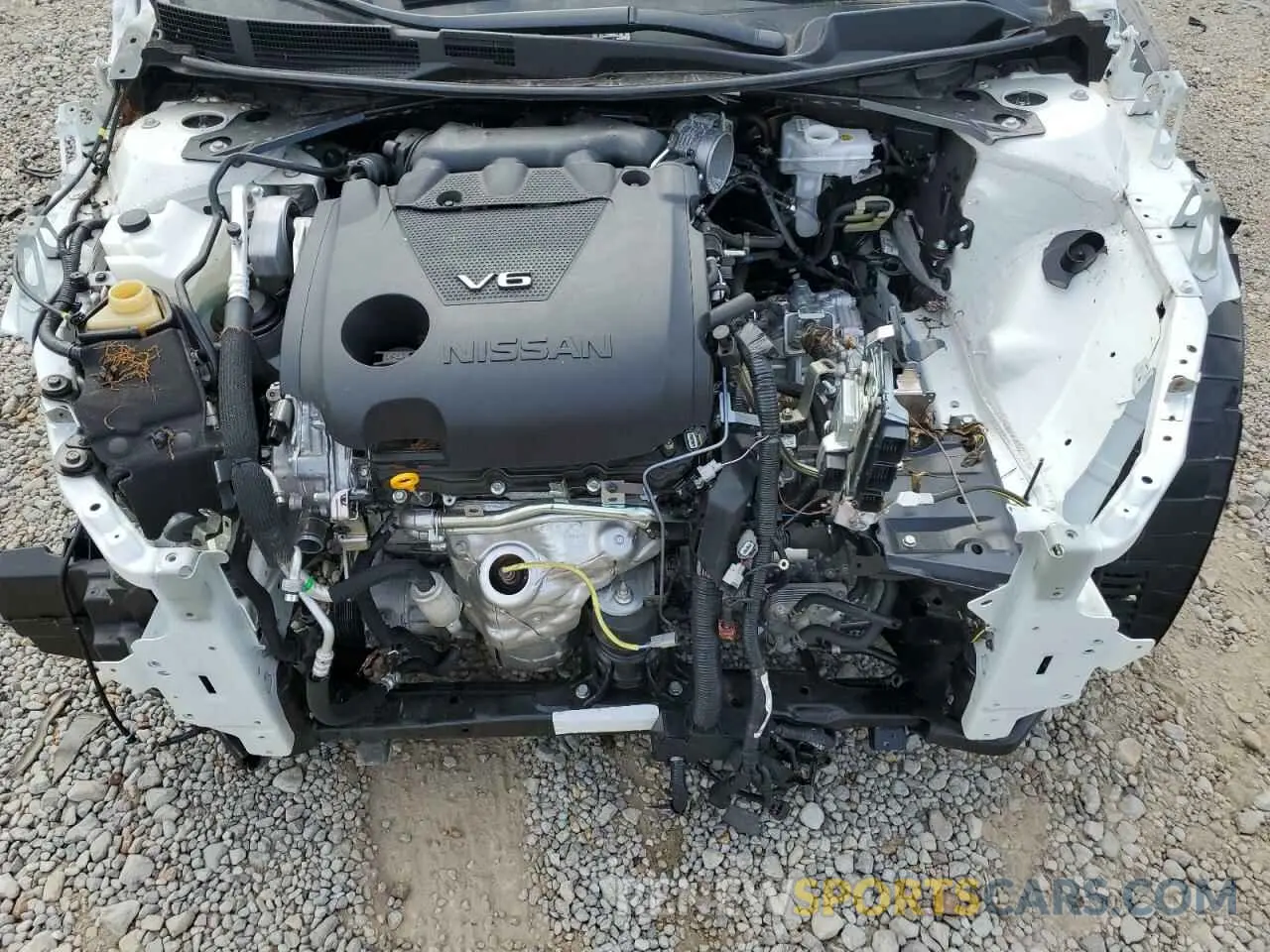 11 Photograph of a damaged car 1N4AA6FV3MC516905 NISSAN MAXIMA 2021