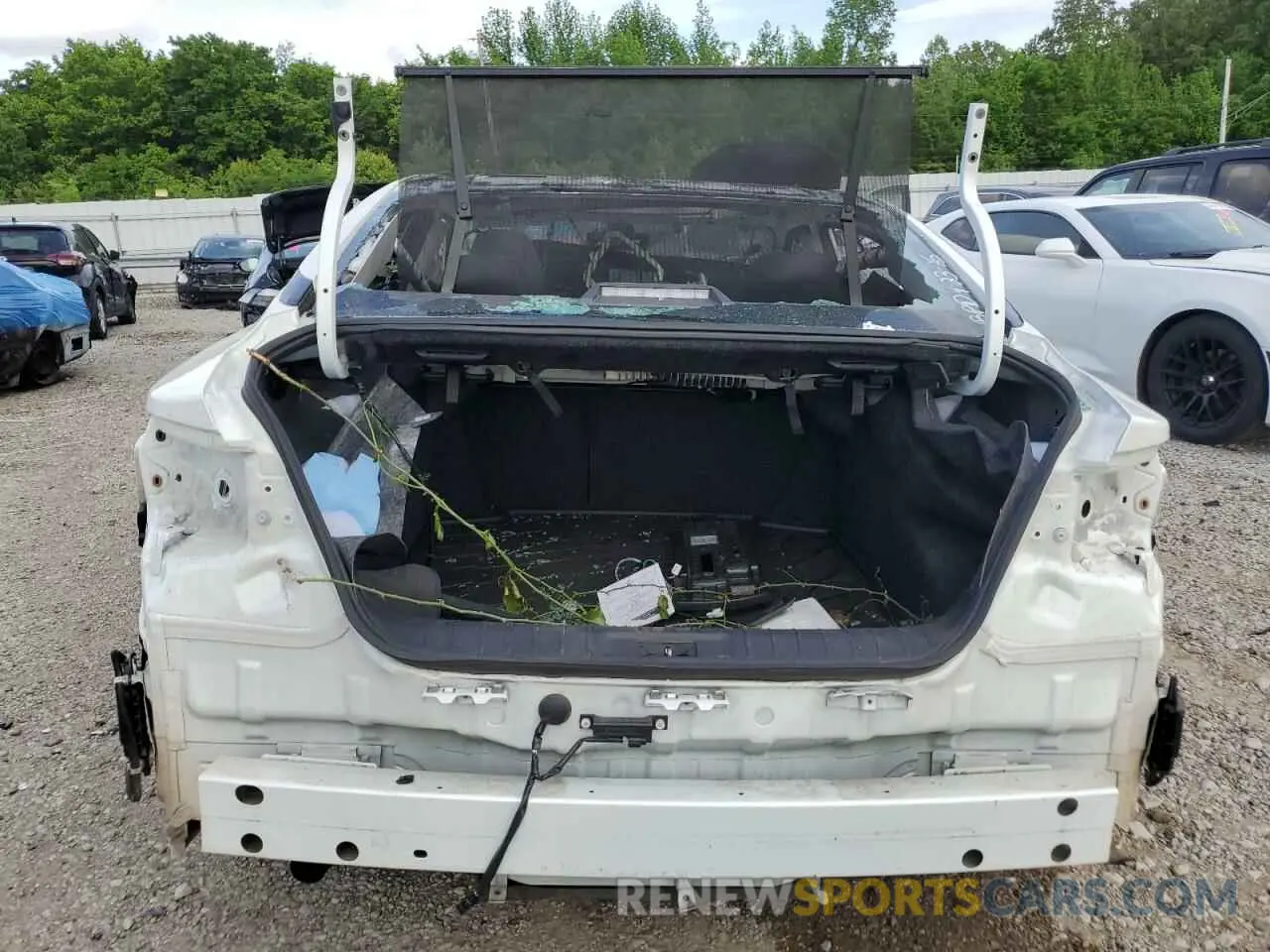 6 Photograph of a damaged car 1N4AA6FV3MC516905 NISSAN MAXIMA 2021