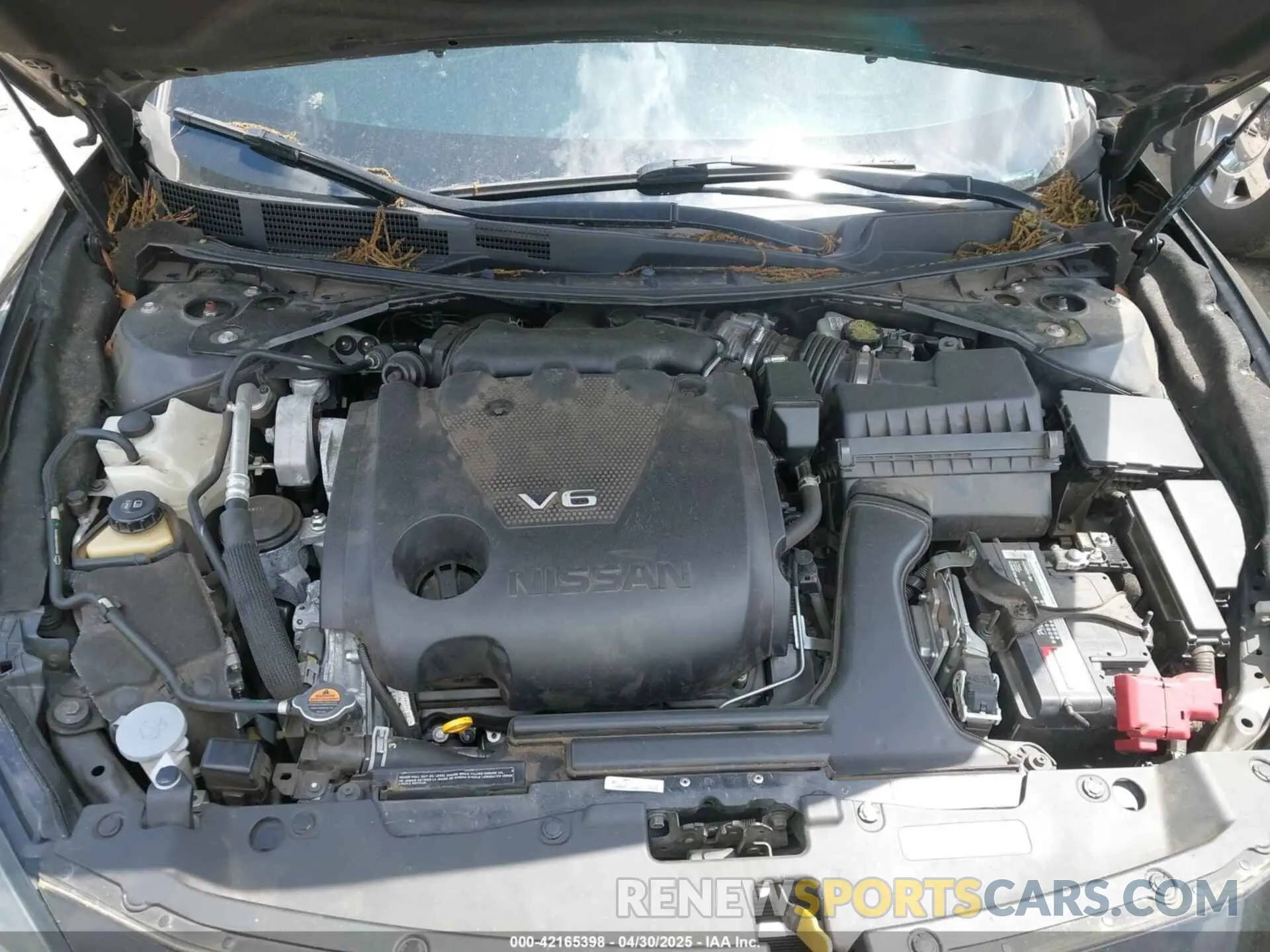 10 Photograph of a damaged car 1N4AA6FV8MC505480 NISSAN MAXIMA 2021