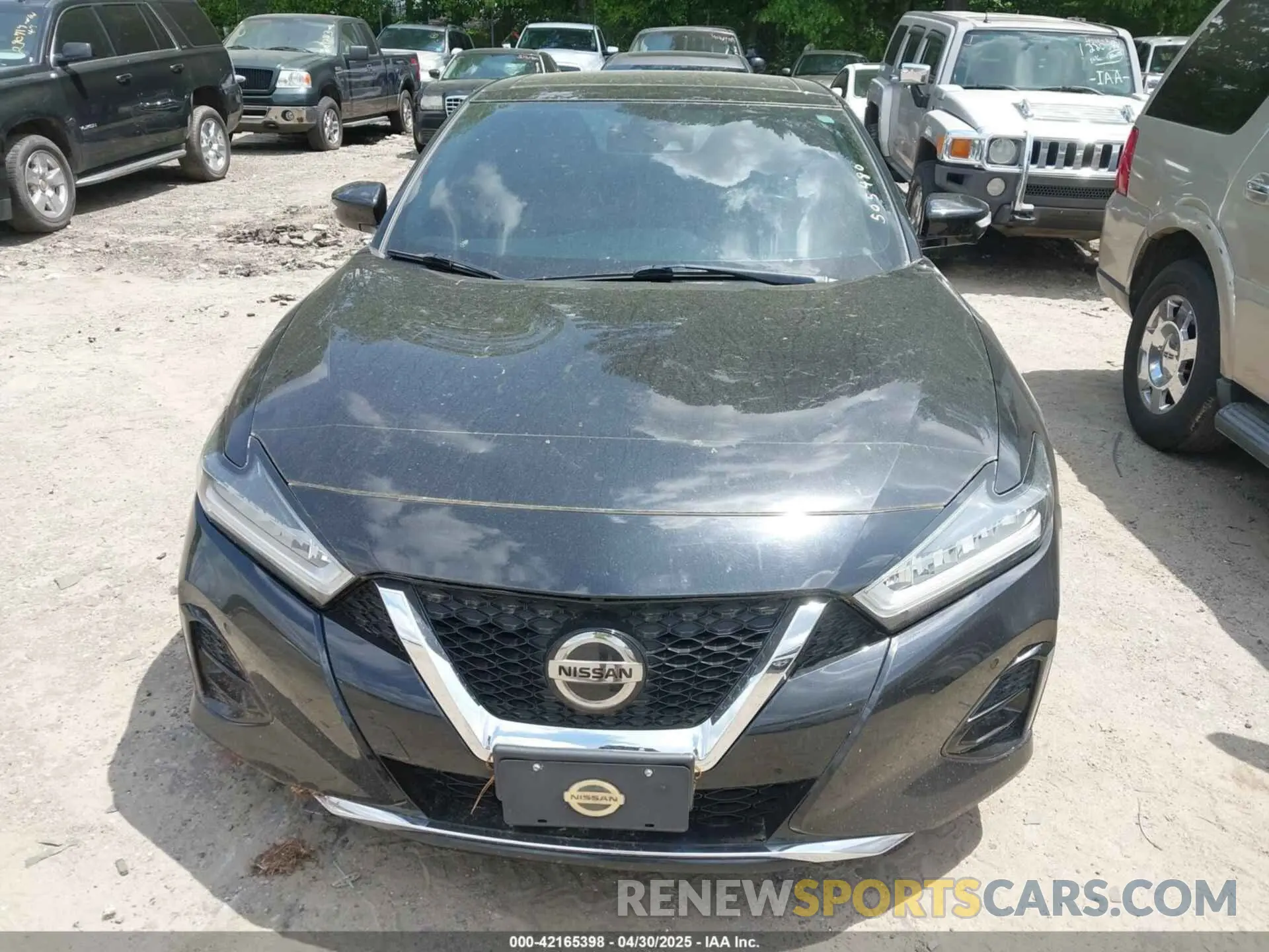 11 Photograph of a damaged car 1N4AA6FV8MC505480 NISSAN MAXIMA 2021