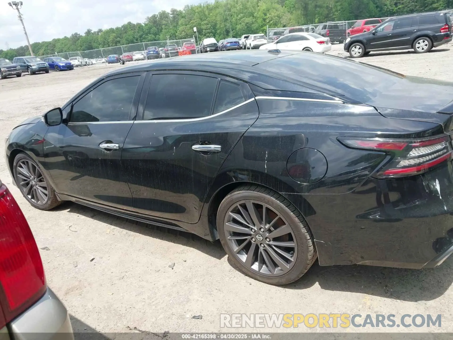 13 Photograph of a damaged car 1N4AA6FV8MC505480 NISSAN MAXIMA 2021