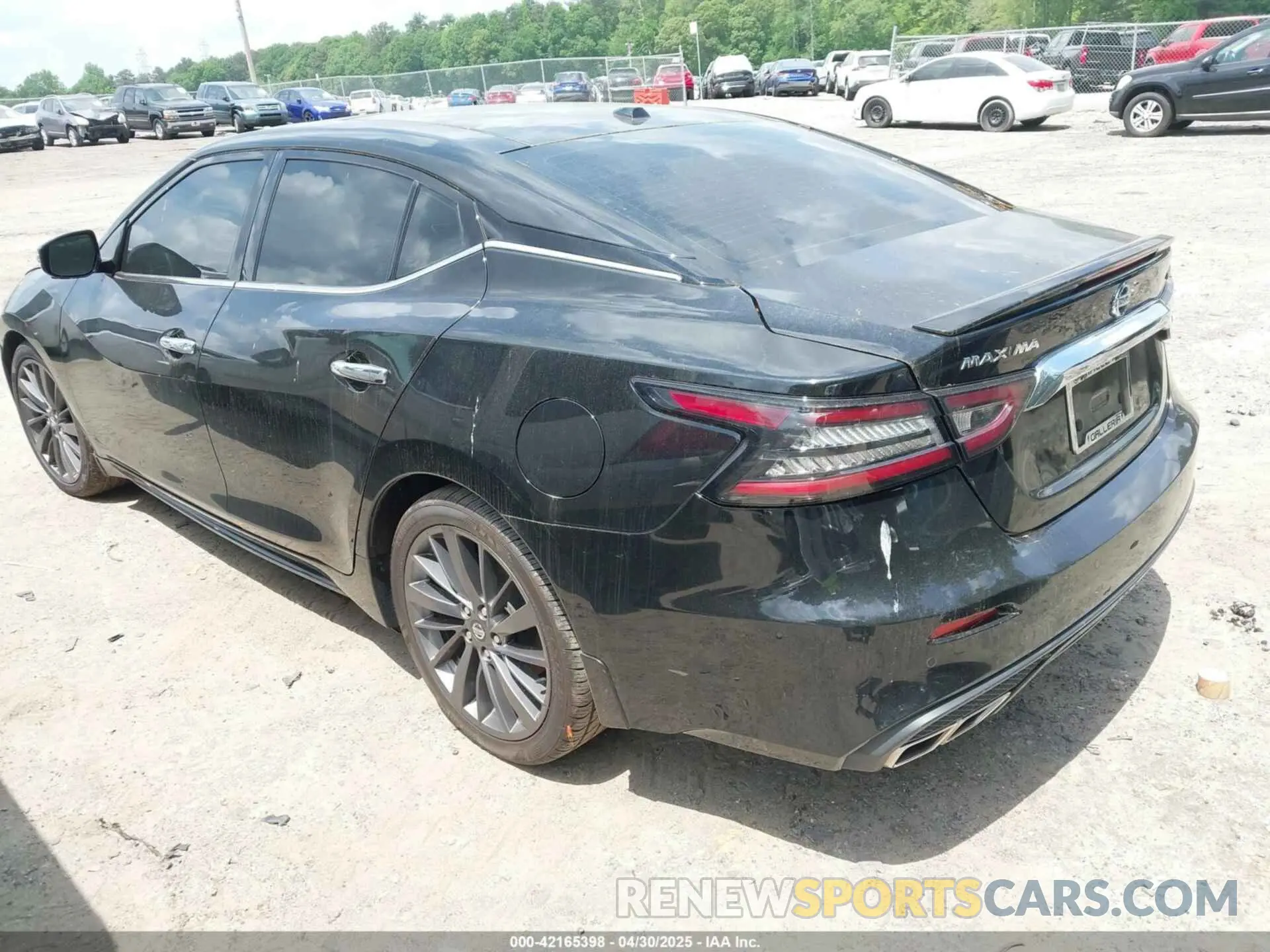 3 Photograph of a damaged car 1N4AA6FV8MC505480 NISSAN MAXIMA 2021