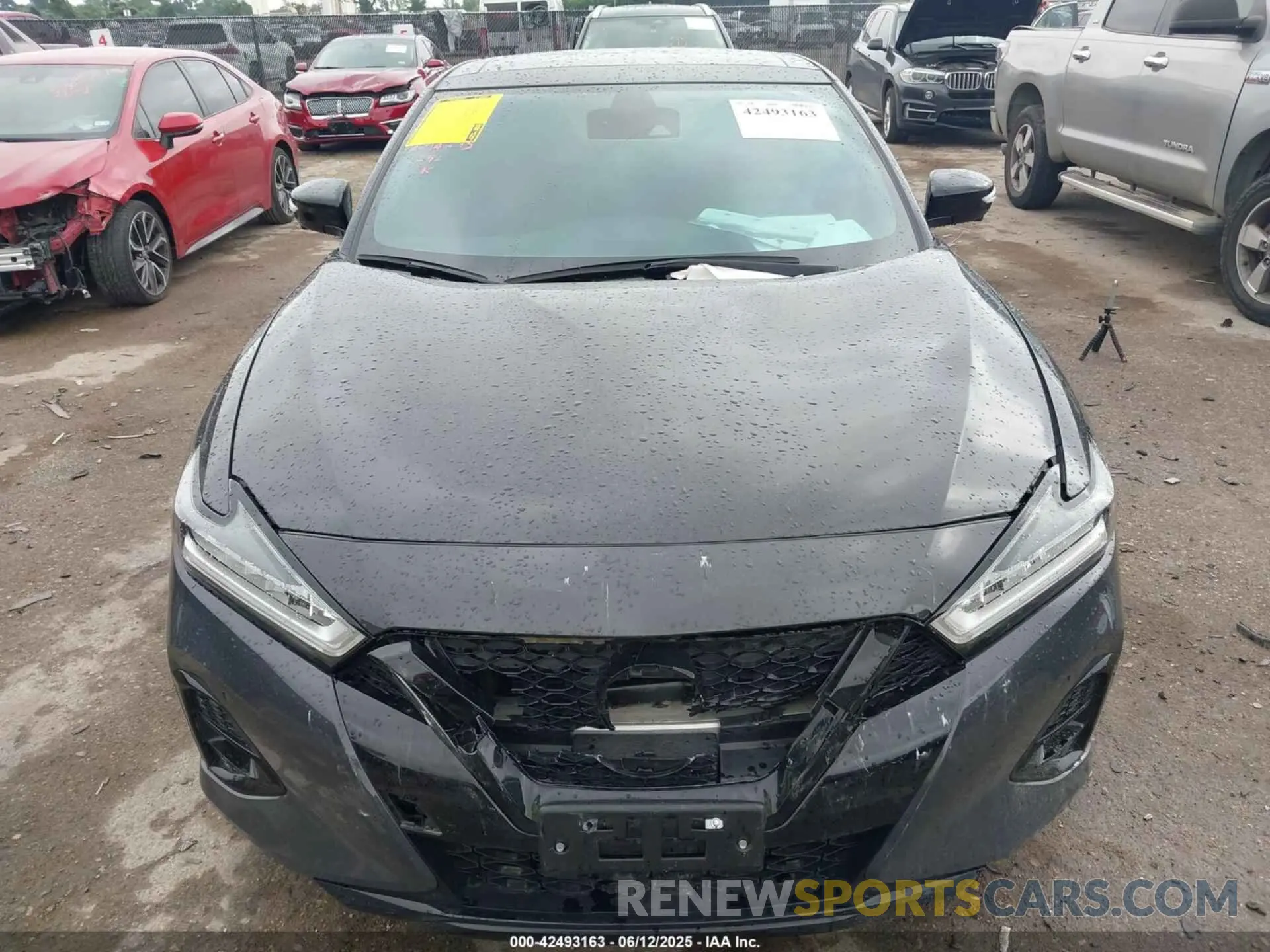 13 Photograph of a damaged car 1N4AA6FV8MC507746 NISSAN MAXIMA 2021