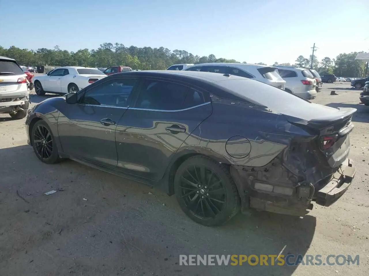 2 Photograph of a damaged car 1N4AA6FVXMC505545 NISSAN MAXIMA 2021