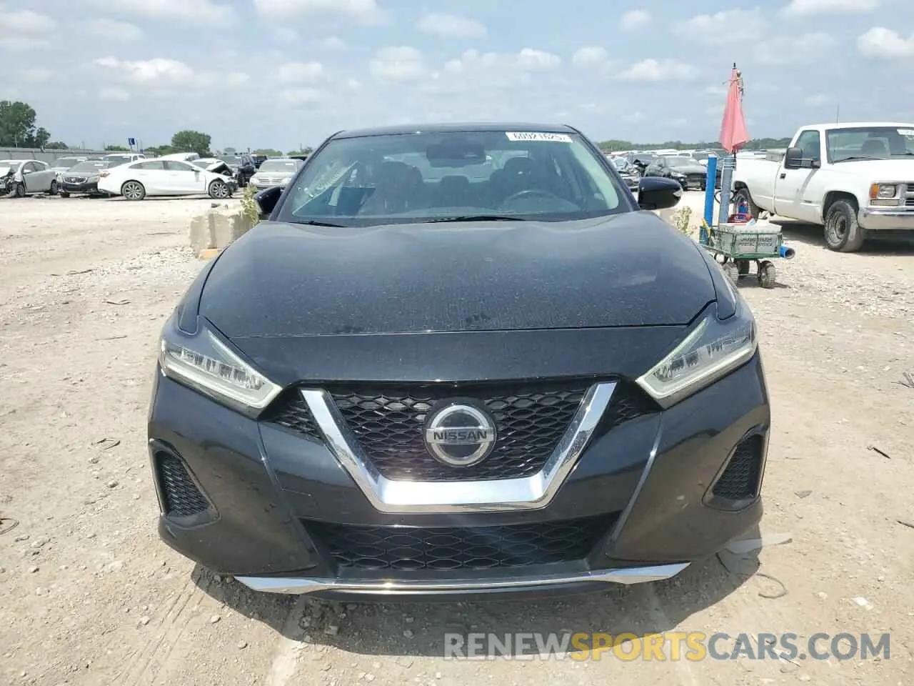 5 Photograph of a damaged car 1N4AA6CV0NC502479 NISSAN MAXIMA 2022