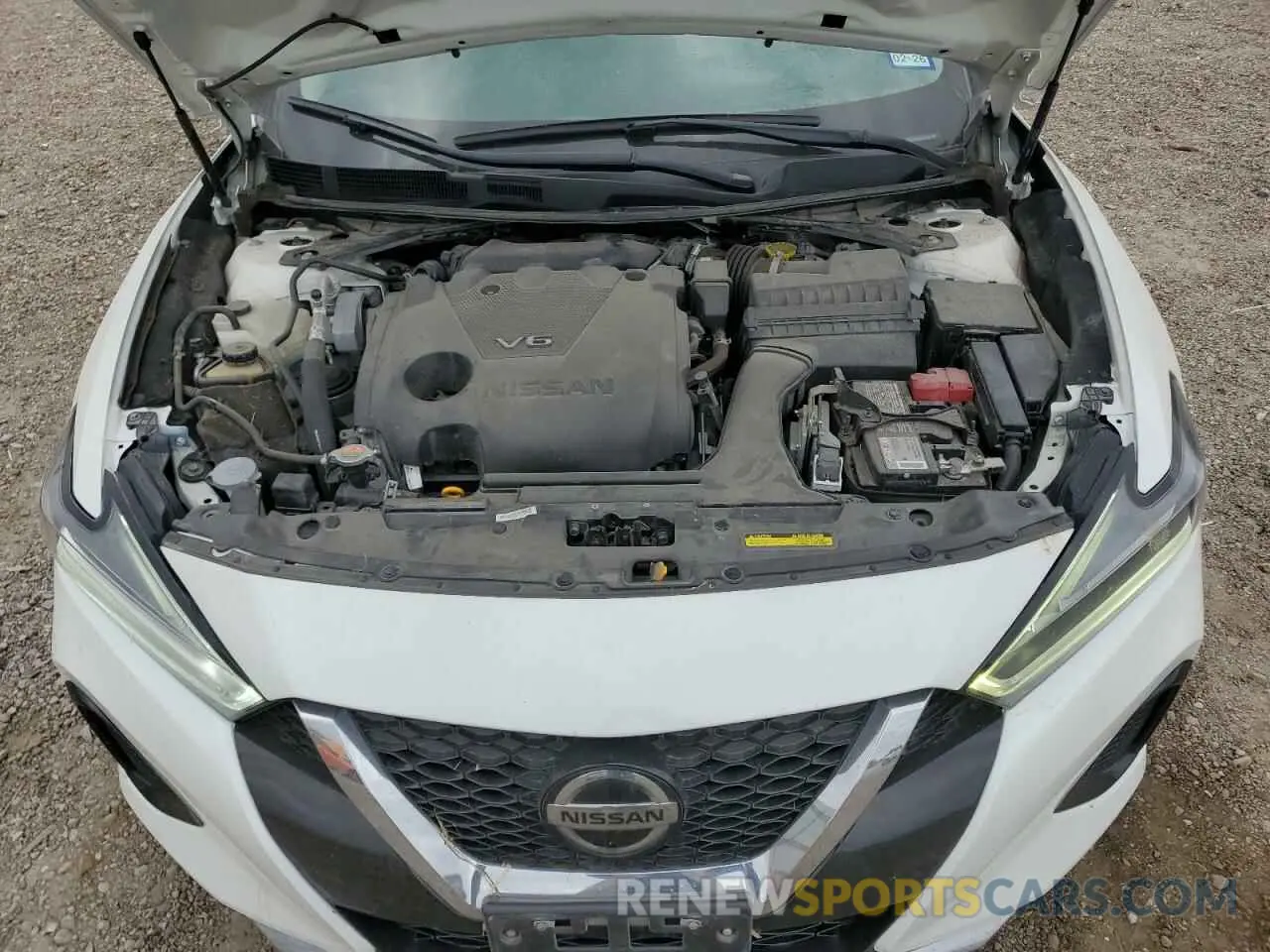 11 Photograph of a damaged car 1N4AA6CV0NC503390 NISSAN MAXIMA 2022