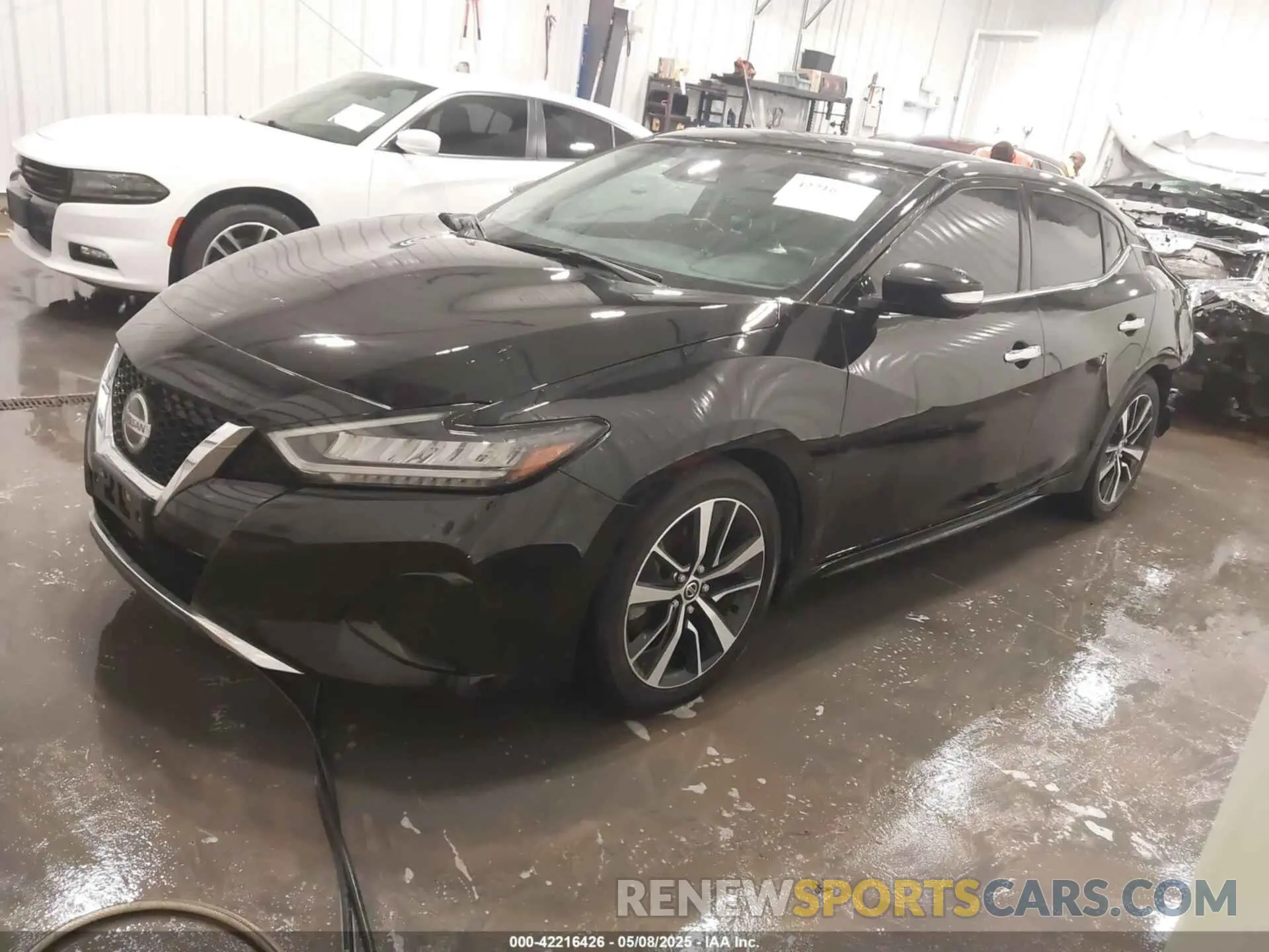 2 Photograph of a damaged car 1N4AA6CV1NC508503 NISSAN MAXIMA 2022