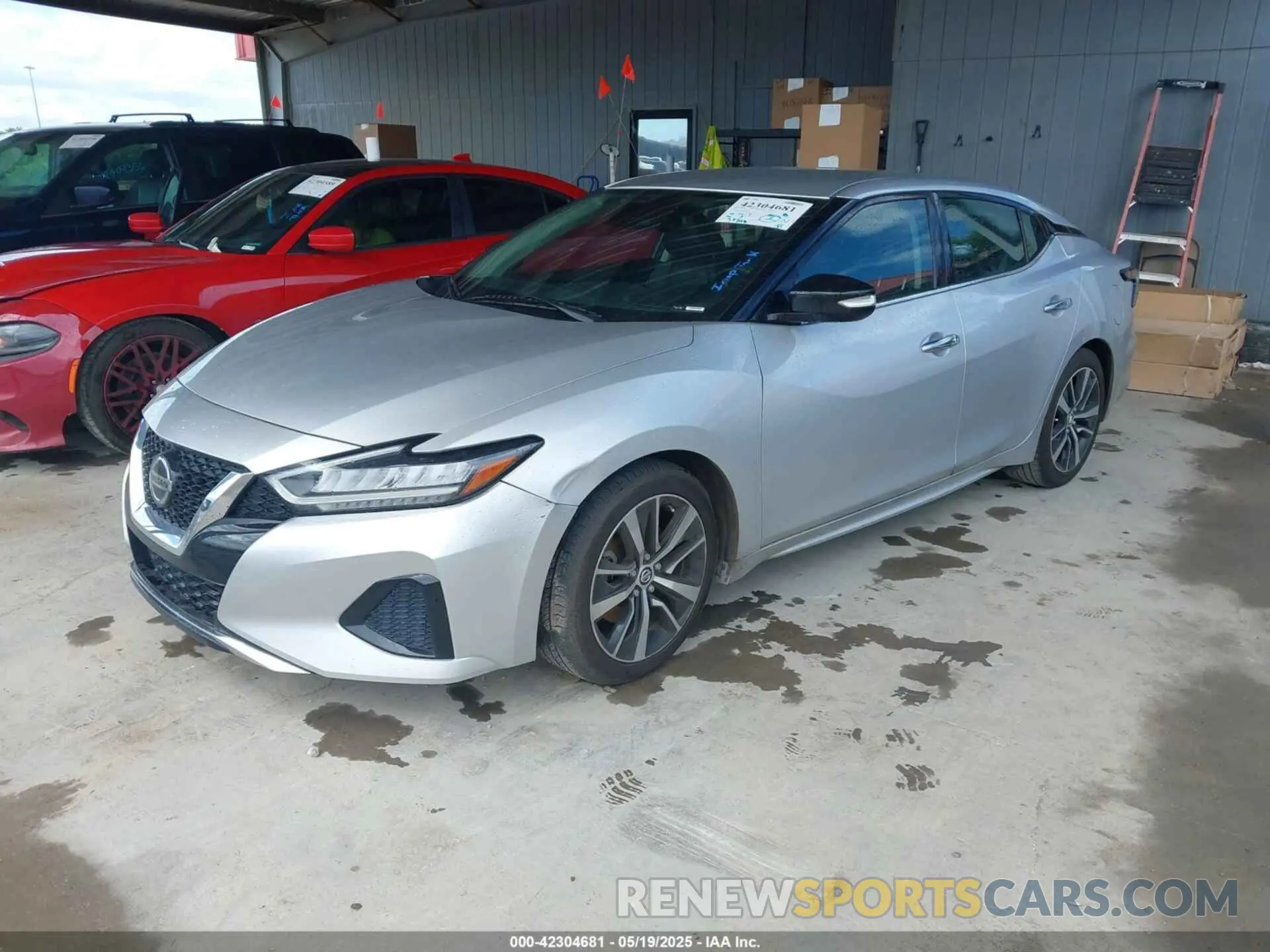 2 Photograph of a damaged car 1N4AA6CV2NC504895 NISSAN MAXIMA 2022