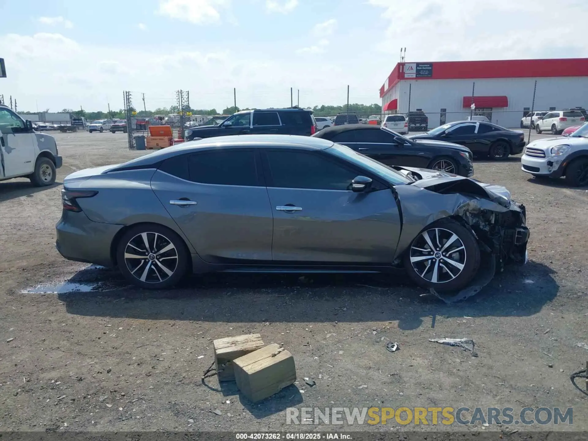 13 Photograph of a damaged car 1N4AA6CV4NC502047 NISSAN MAXIMA 2022