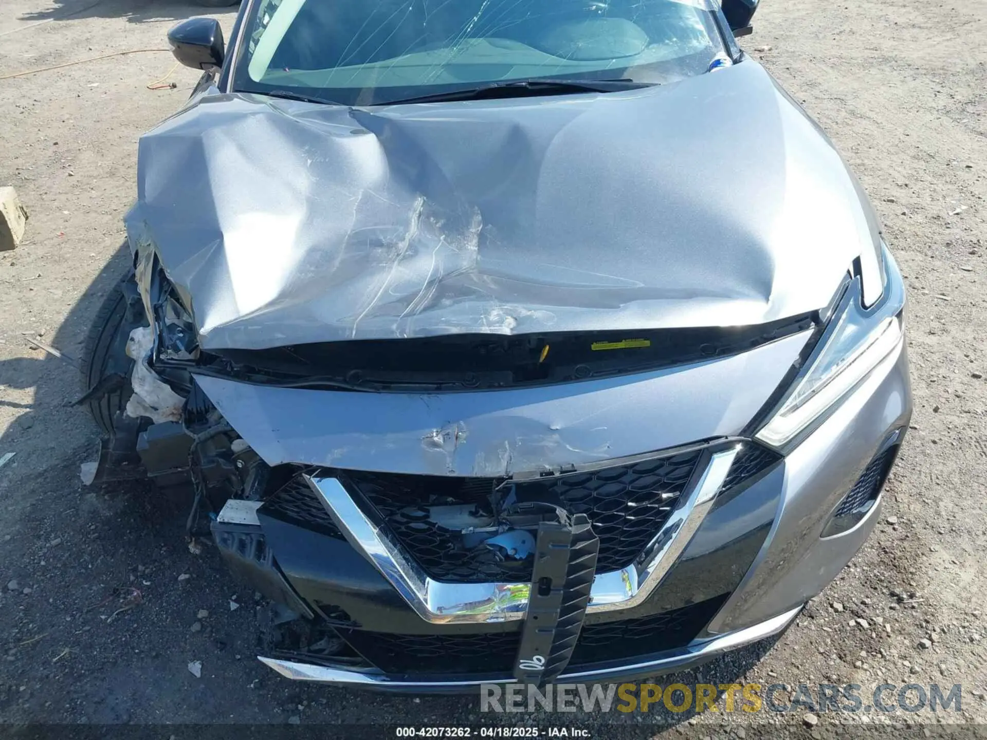 17 Photograph of a damaged car 1N4AA6CV4NC502047 NISSAN MAXIMA 2022
