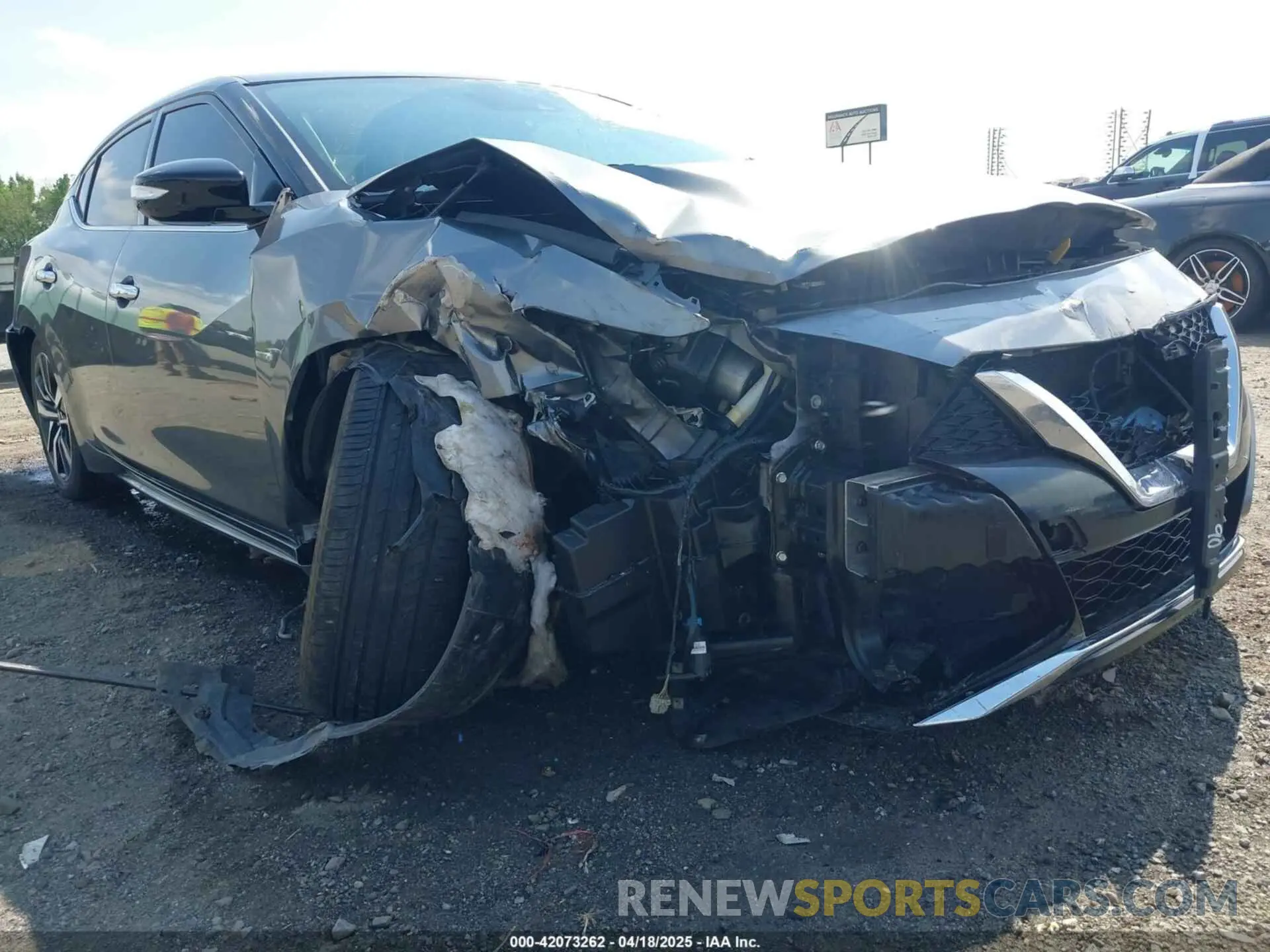 6 Photograph of a damaged car 1N4AA6CV4NC502047 NISSAN MAXIMA 2022