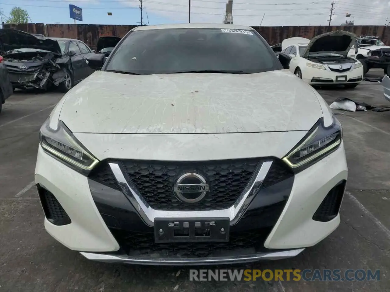 5 Photograph of a damaged car 1N4AA6CV6NC502180 NISSAN MAXIMA 2022