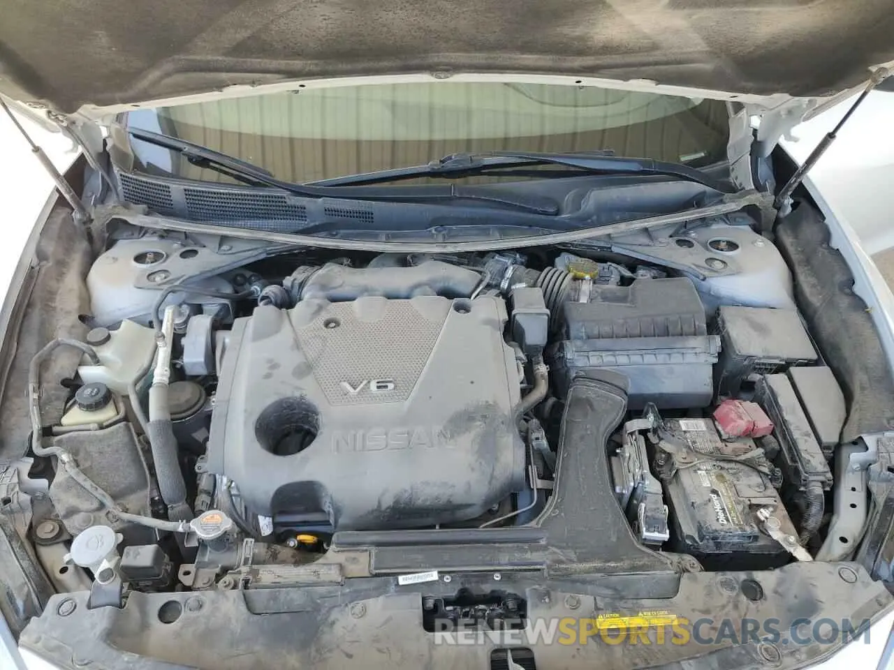11 Photograph of a damaged car 1N4AA6CV6NC504169 NISSAN MAXIMA 2022