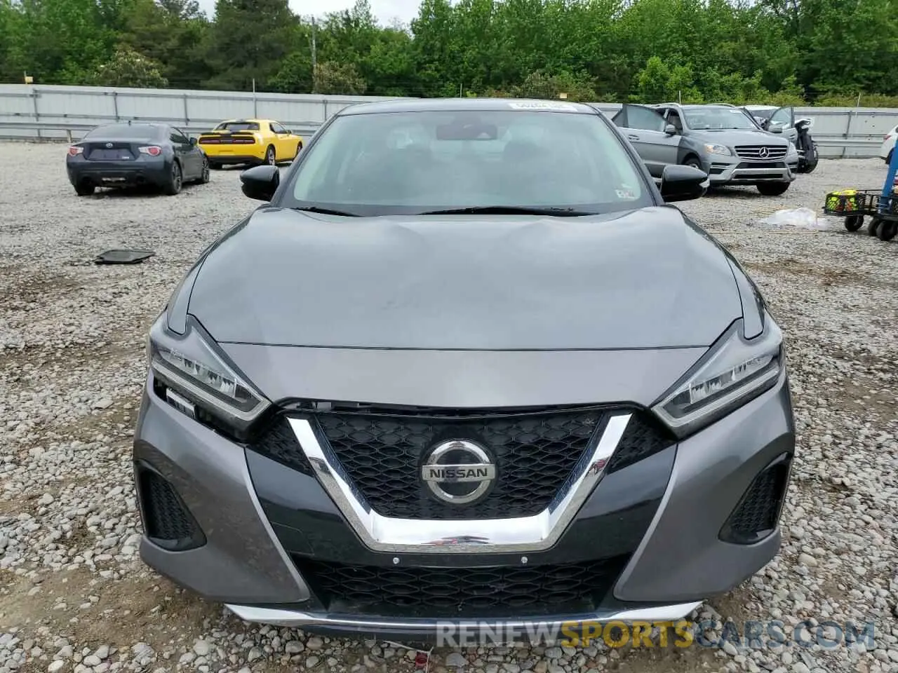 5 Photograph of a damaged car 1N4AA6CV7NC505556 NISSAN MAXIMA 2022