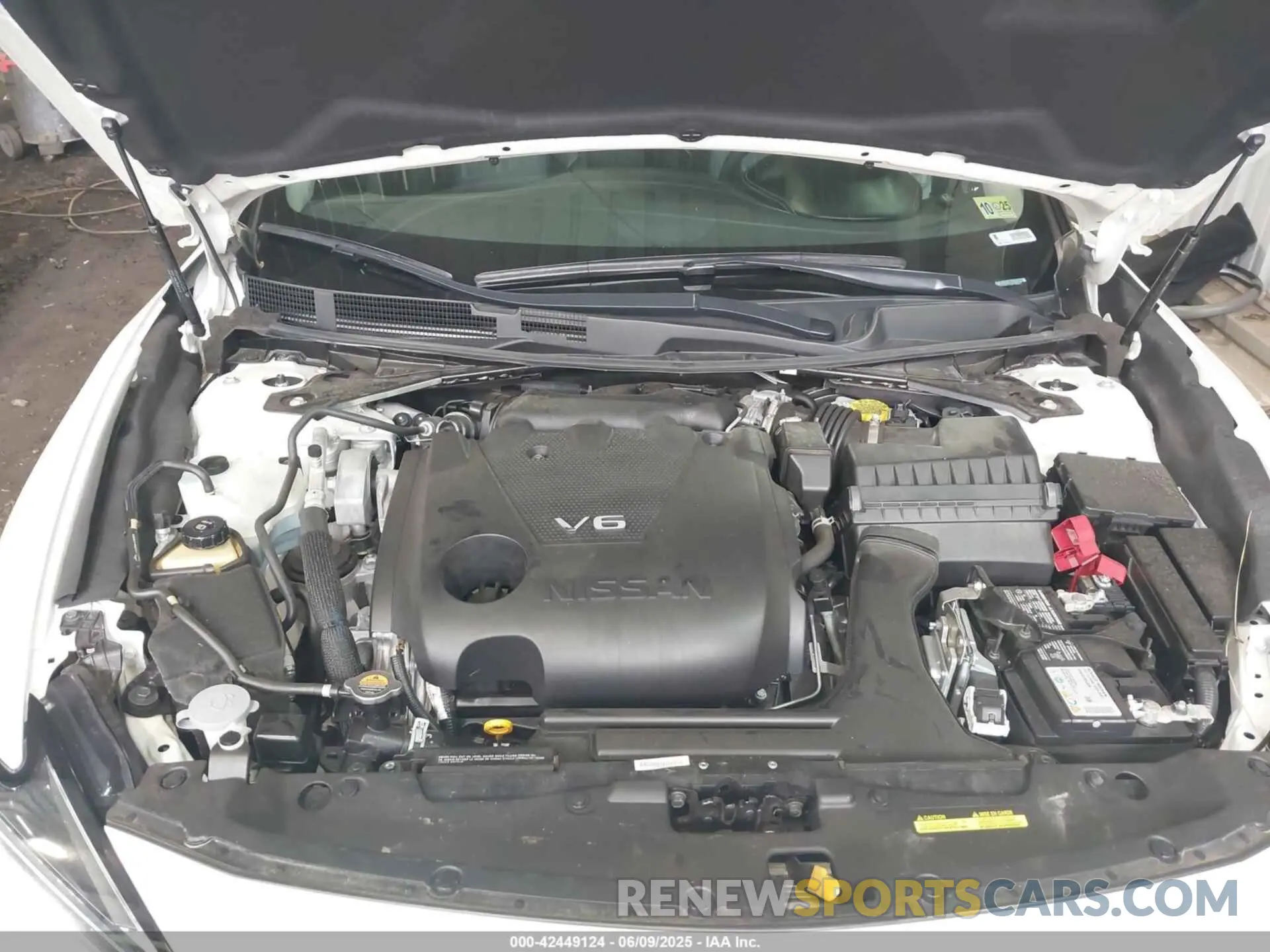 10 Photograph of a damaged car 1N4AA6CV7NC506917 NISSAN MAXIMA 2022