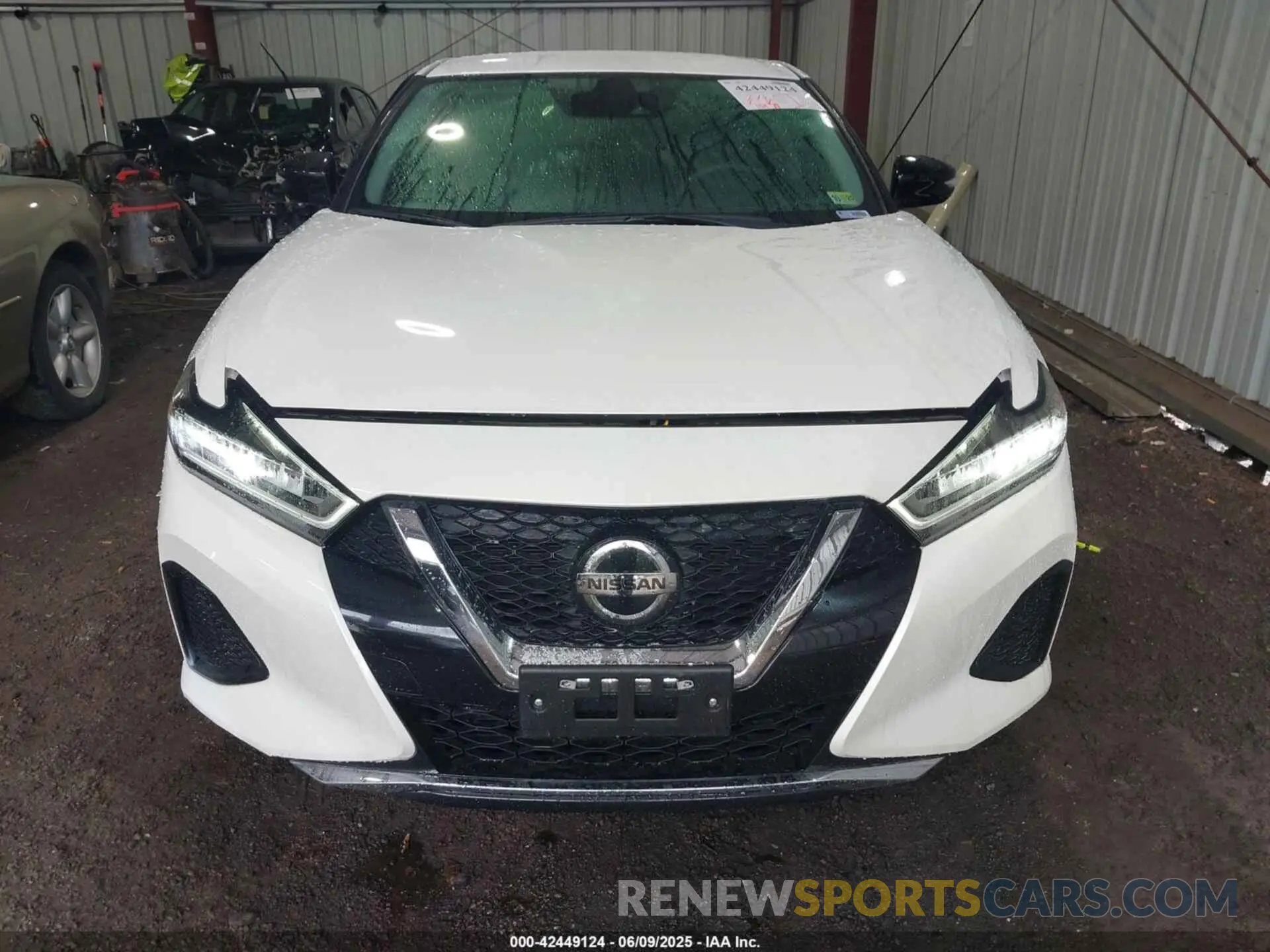 13 Photograph of a damaged car 1N4AA6CV7NC506917 NISSAN MAXIMA 2022