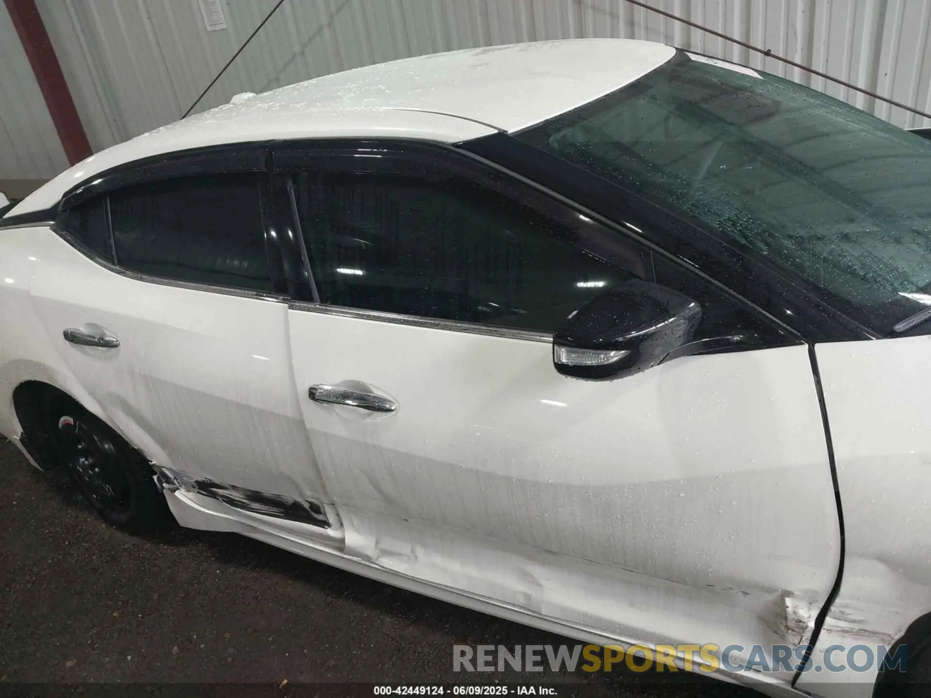 14 Photograph of a damaged car 1N4AA6CV7NC506917 NISSAN MAXIMA 2022