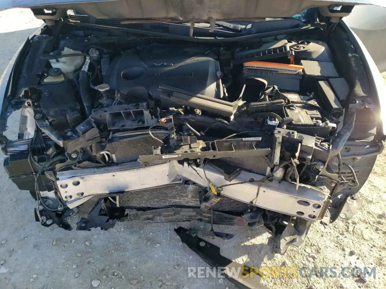 12 Photograph of a damaged car 1N4AA6CV8NC502245 NISSAN MAXIMA 2022