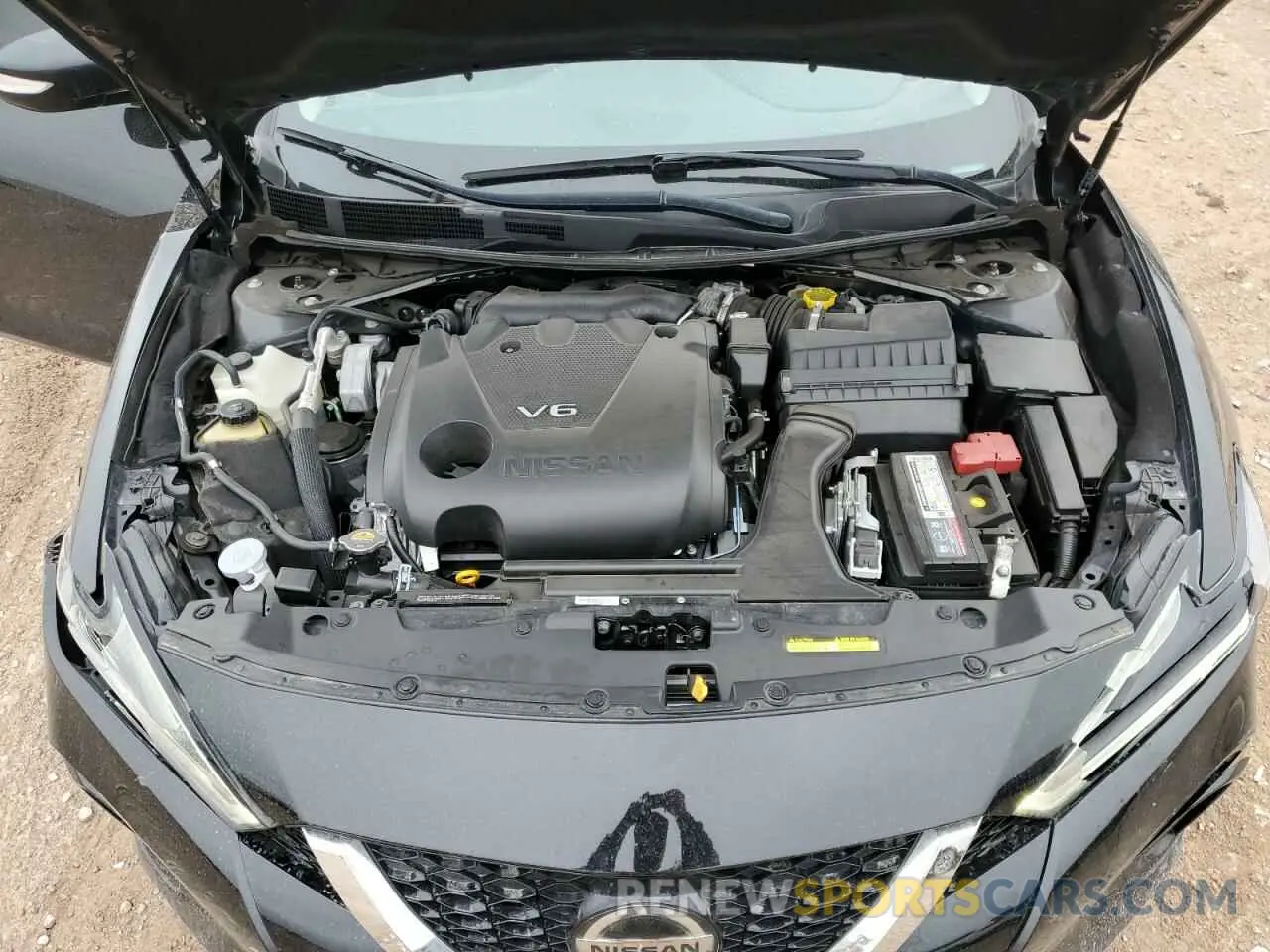 13 Photograph of a damaged car 1N4AA6CV8NC502665 NISSAN MAXIMA 2022