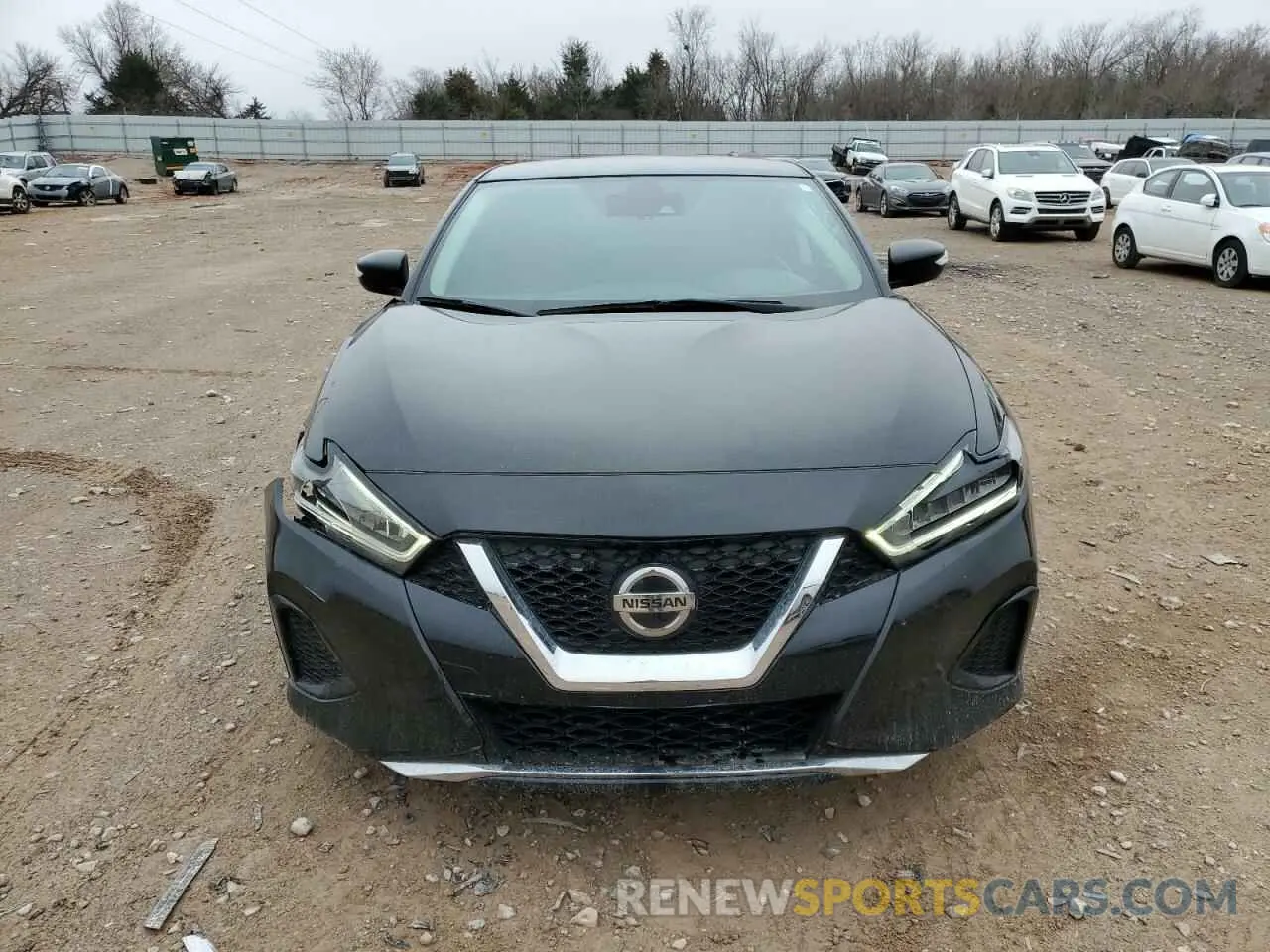 5 Photograph of a damaged car 1N4AA6CV8NC502665 NISSAN MAXIMA 2022