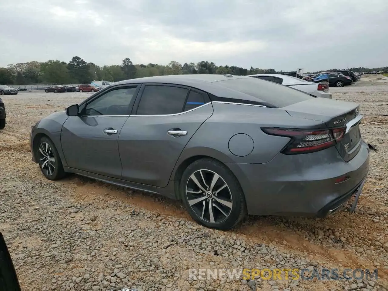 2 Photograph of a damaged car 1N4AA6CVXNC503767 NISSAN MAXIMA 2022