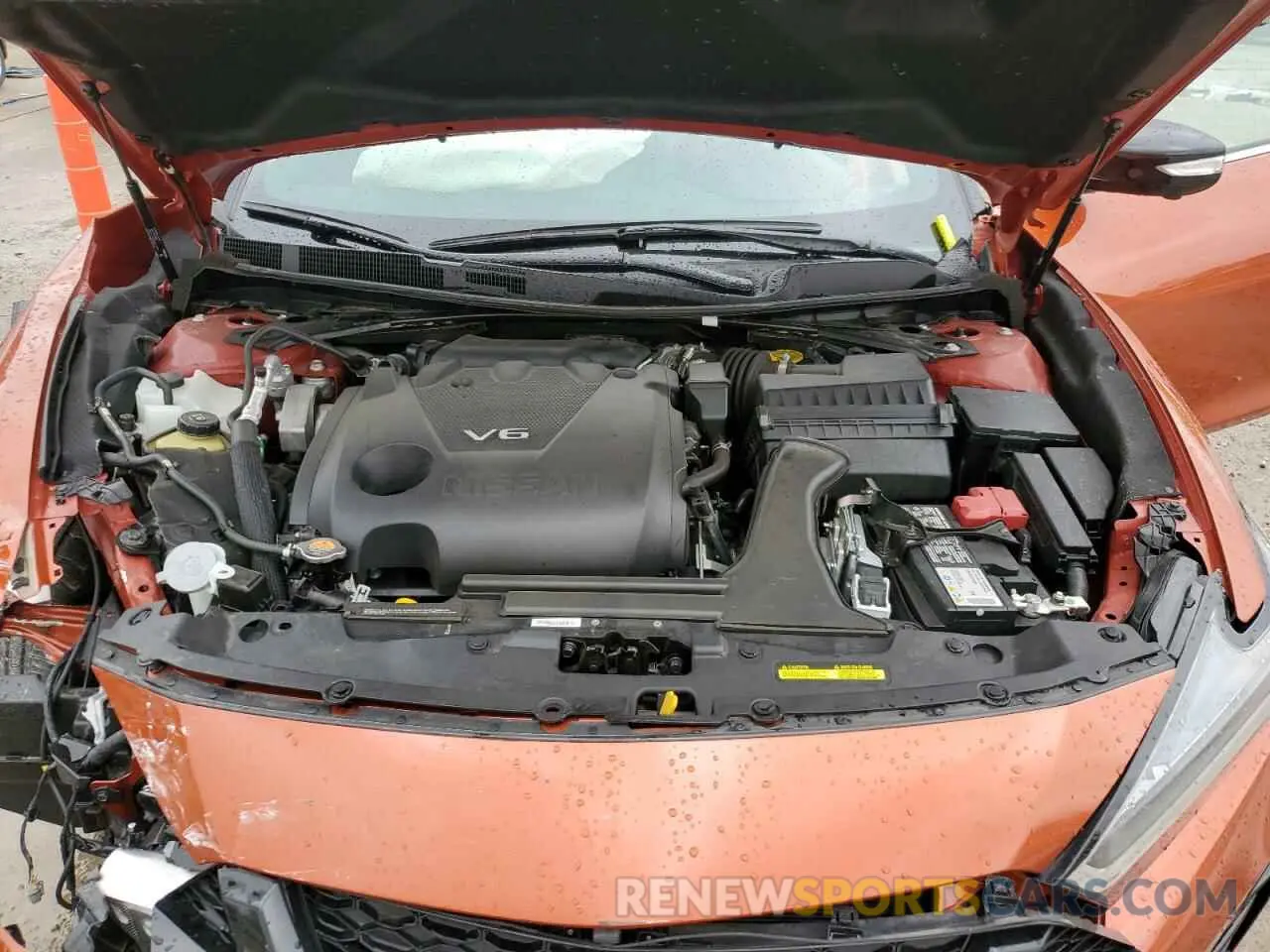 11 Photograph of a damaged car 1N4AA6EV2NC507096 NISSAN MAXIMA 2022