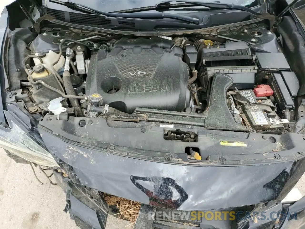 11 Photograph of a damaged car 1N4AA6FV0NC504826 NISSAN MAXIMA 2022