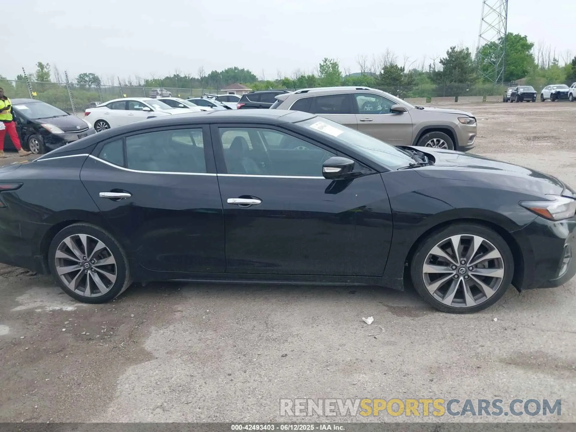 12 Photograph of a damaged car 1N4AA6FVXNC504851 NISSAN MAXIMA 2022