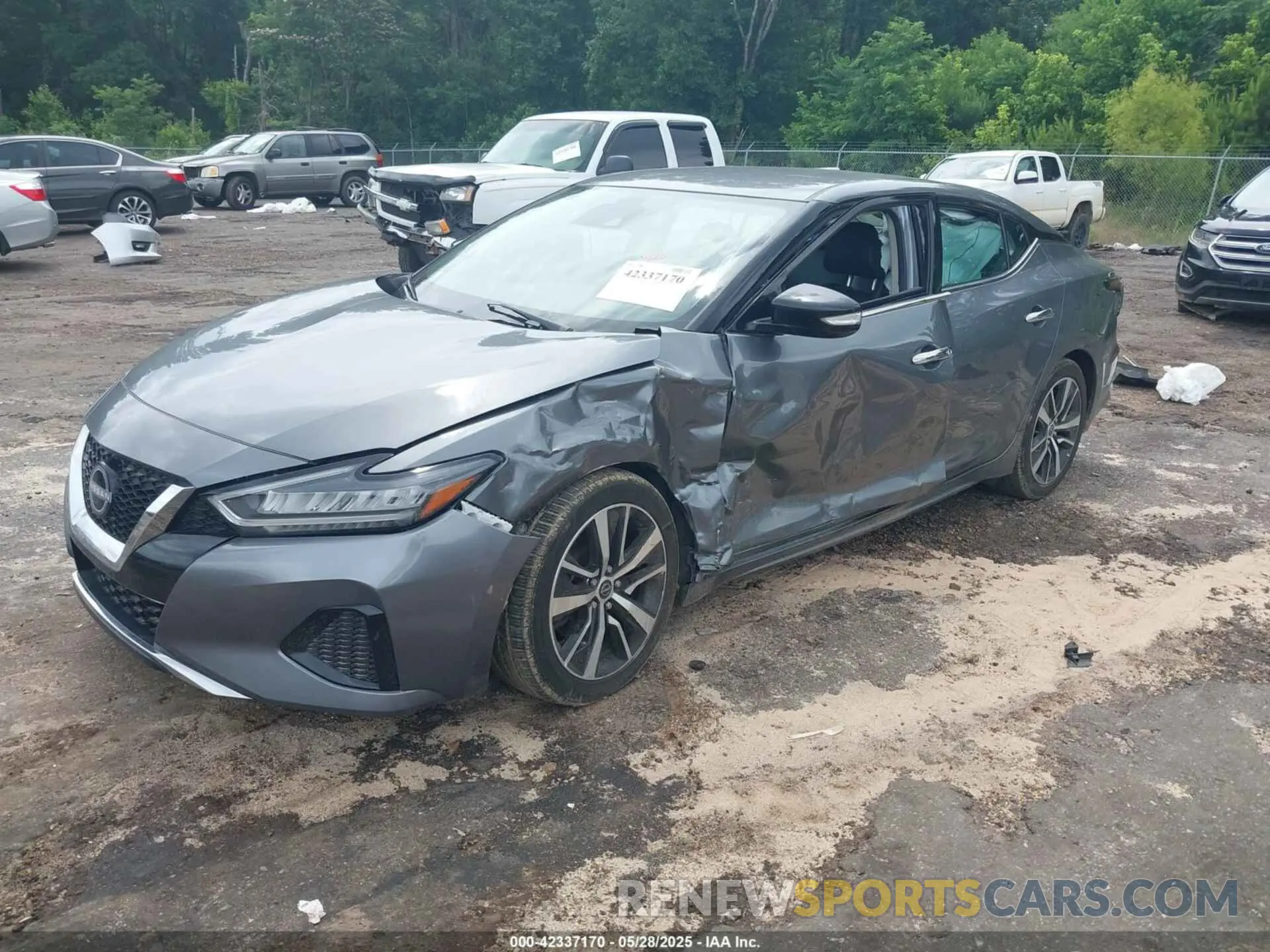 2 Photograph of a damaged car 1N4AA6CV0PC510472 NISSAN MAXIMA 2023